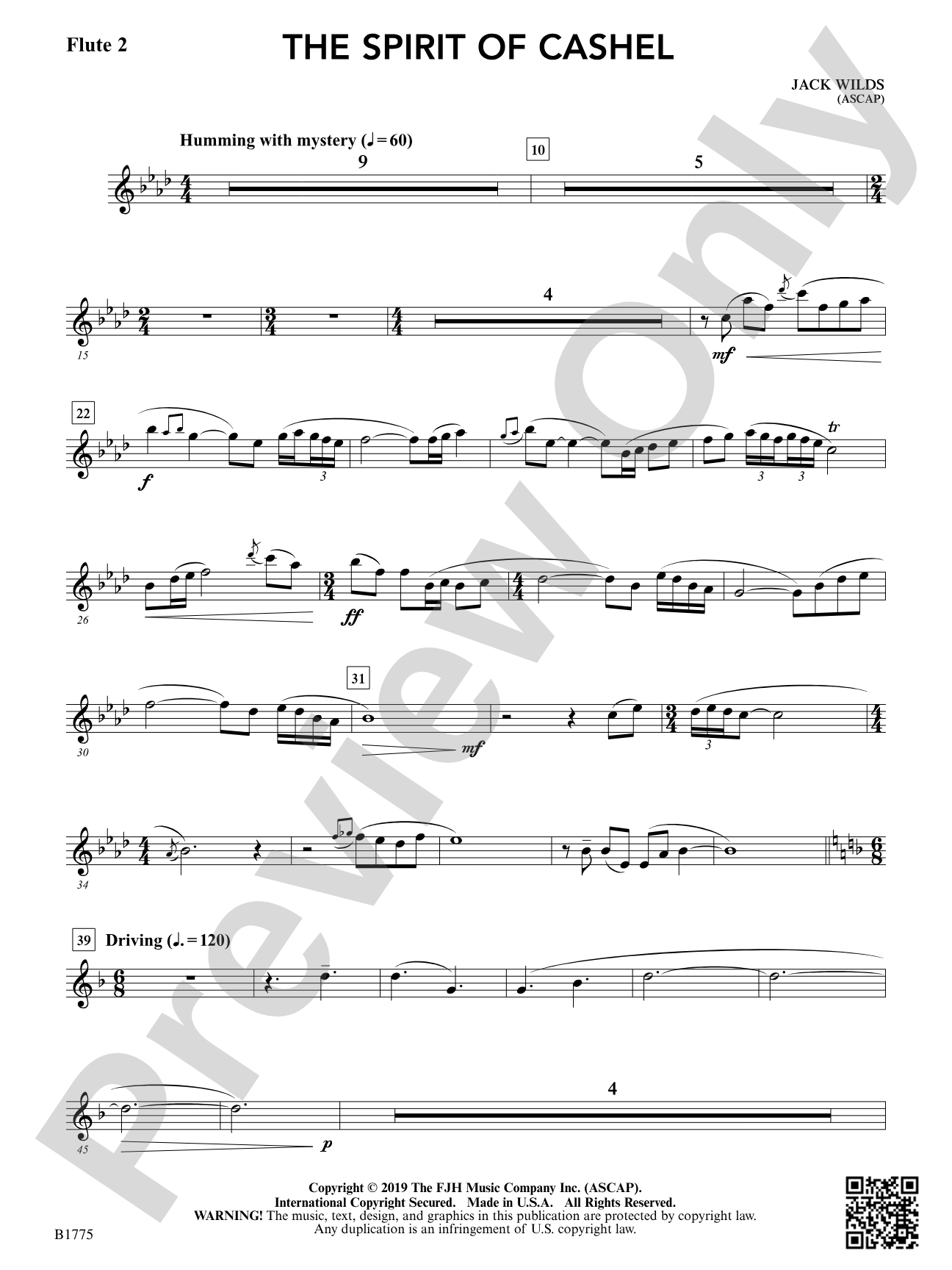 The Spirit of Cashel: Flute 2