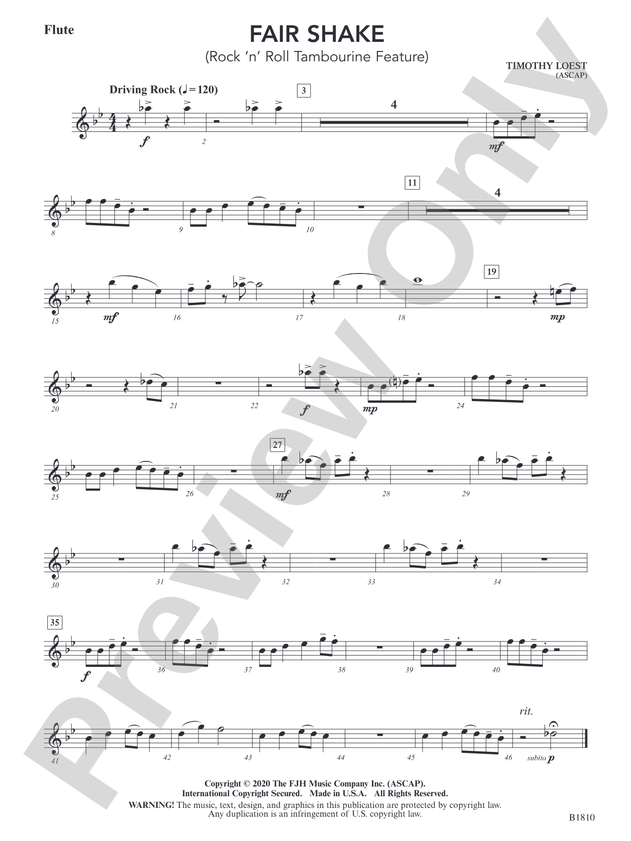 Fair Shake (Rock 'n' Roll Tambourine Feature): Flute
