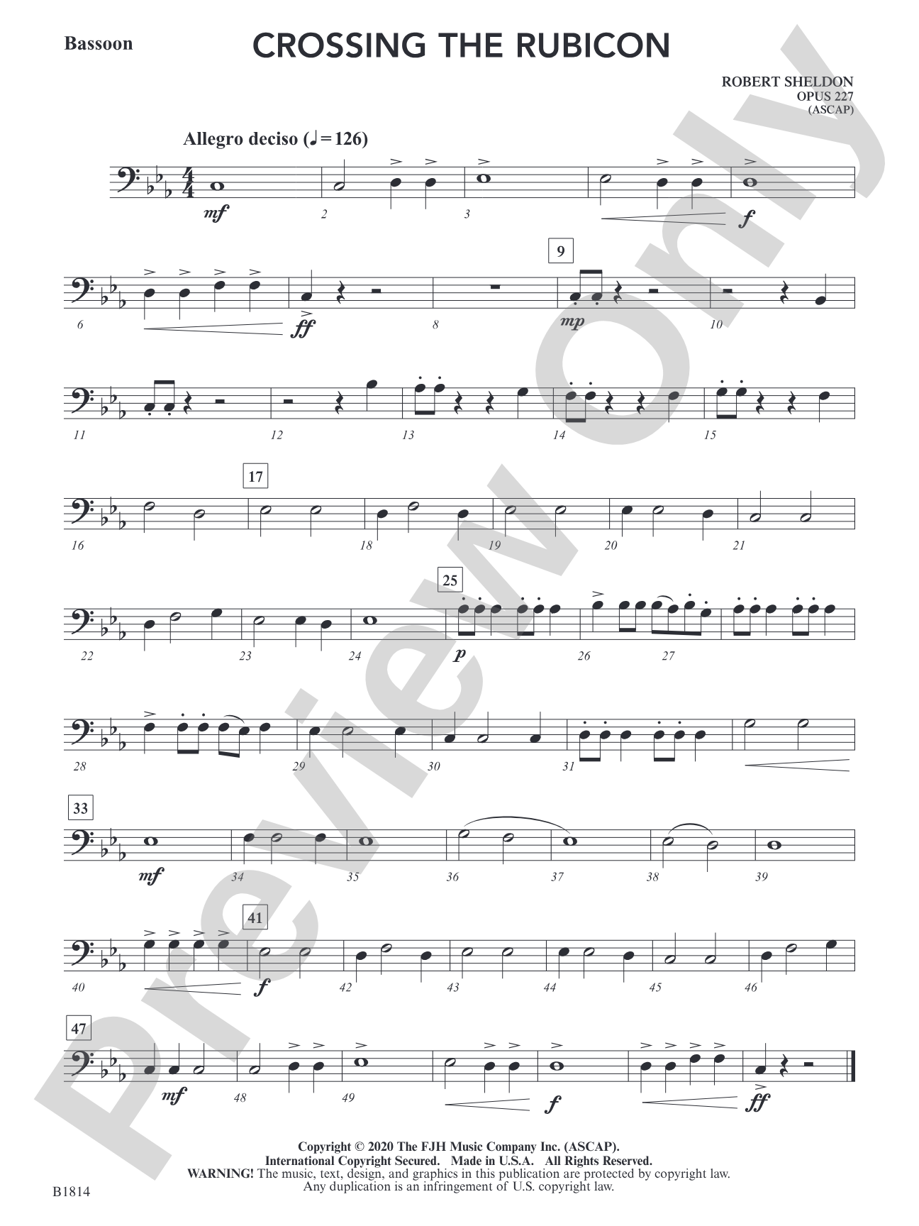 Crossing the Rubicon: Bassoon