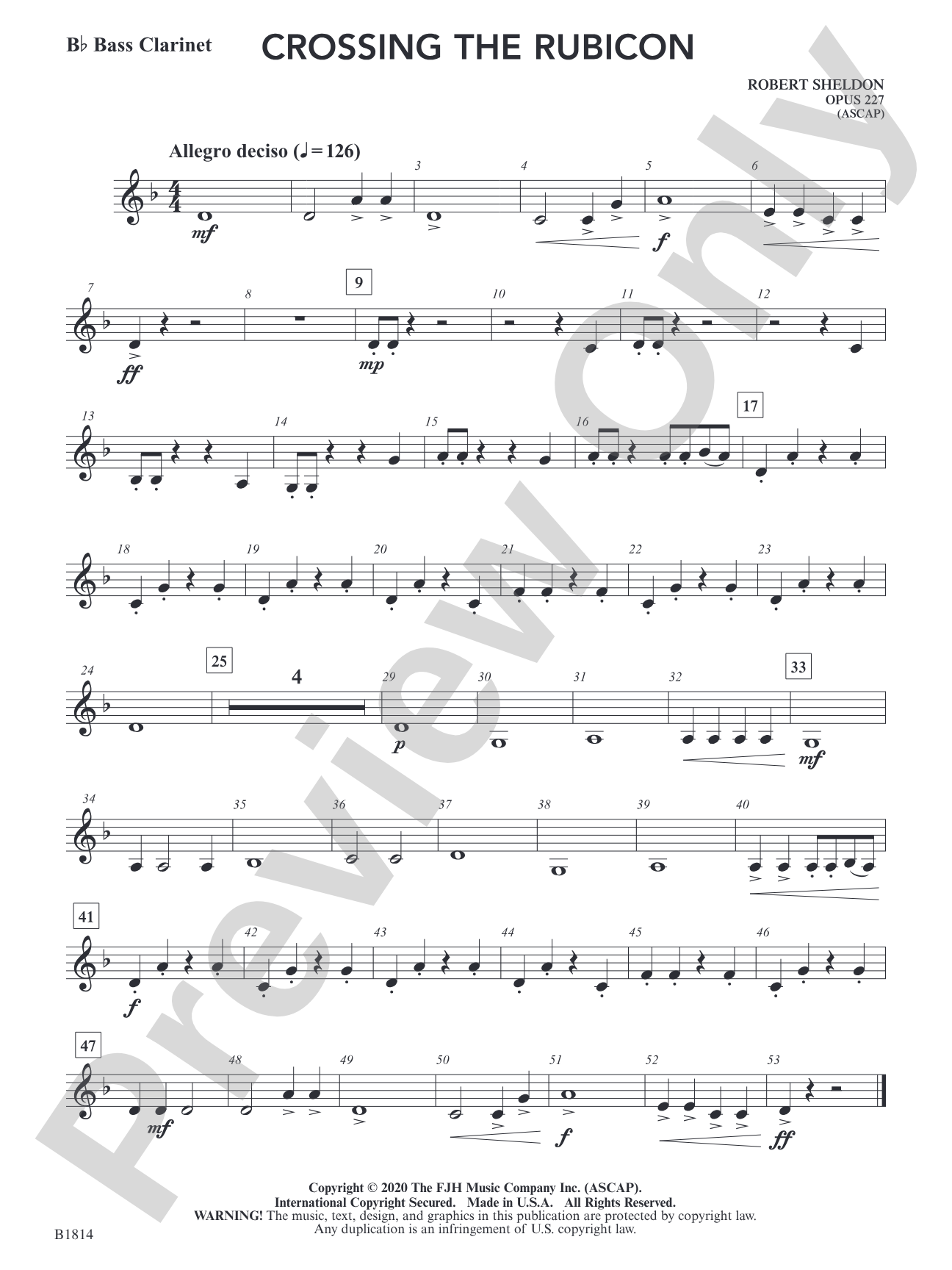 Crossing the Rubicon: B-flat Bass Clarinet