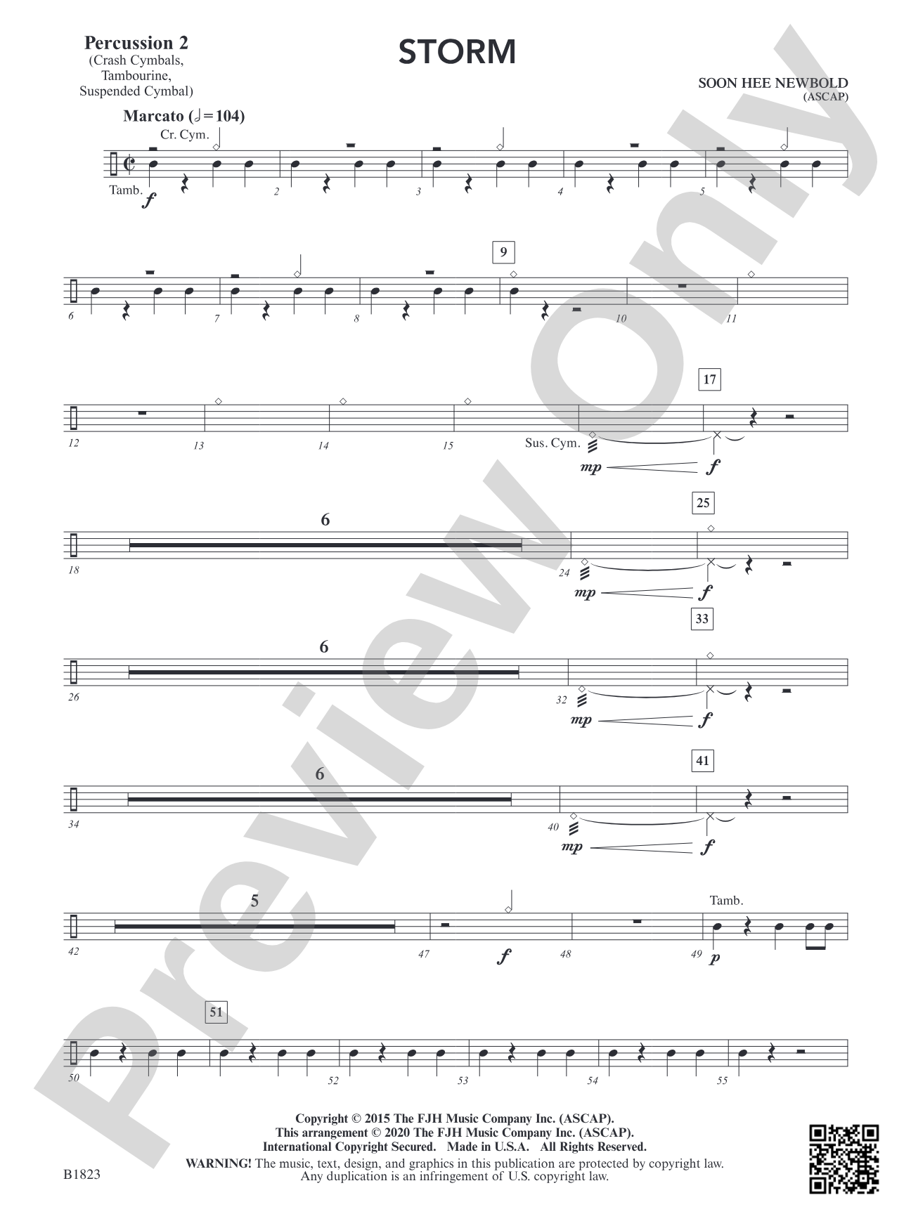 Storm: Percussion 2