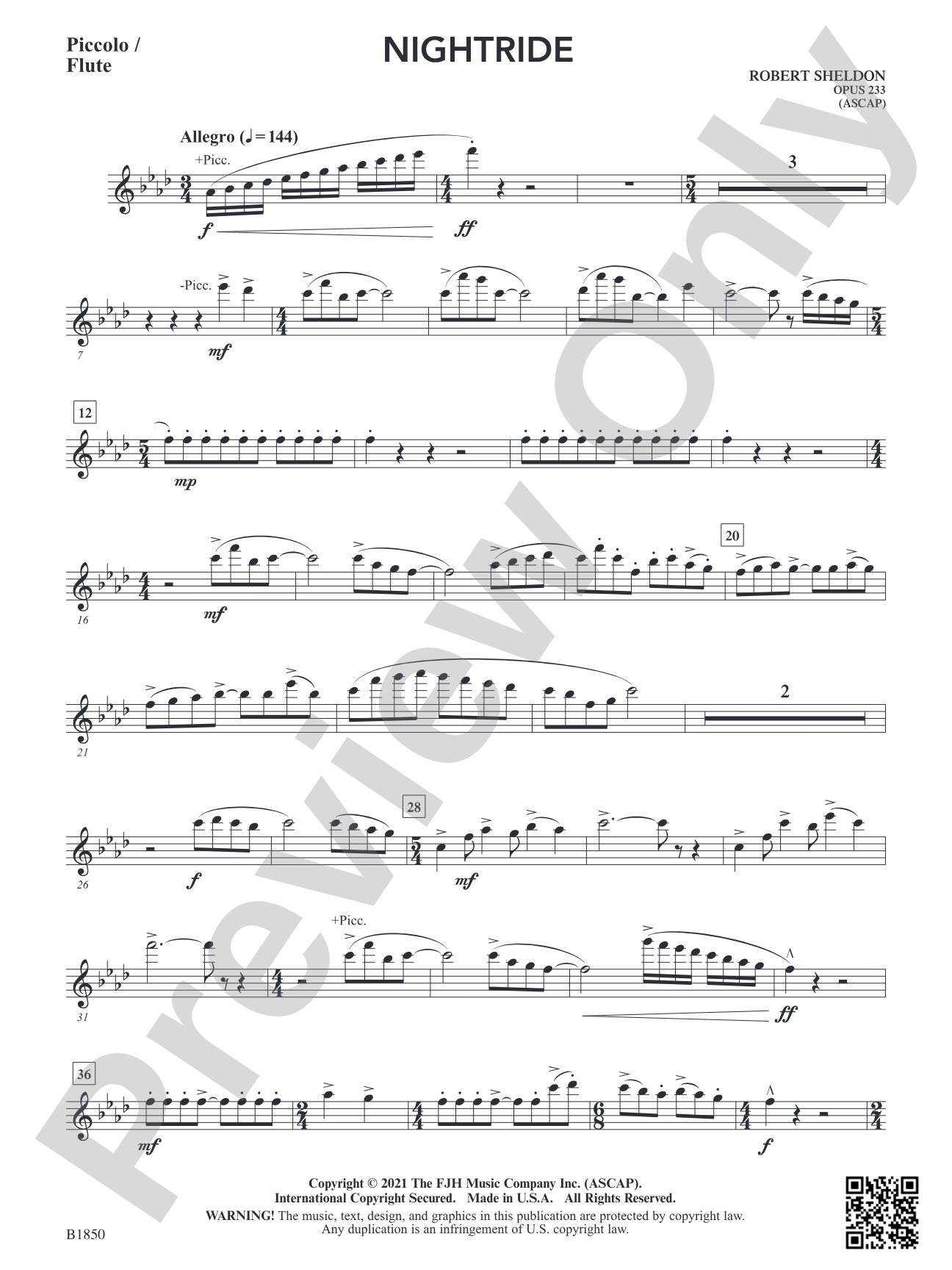 Nightride: Piccolo / Flute