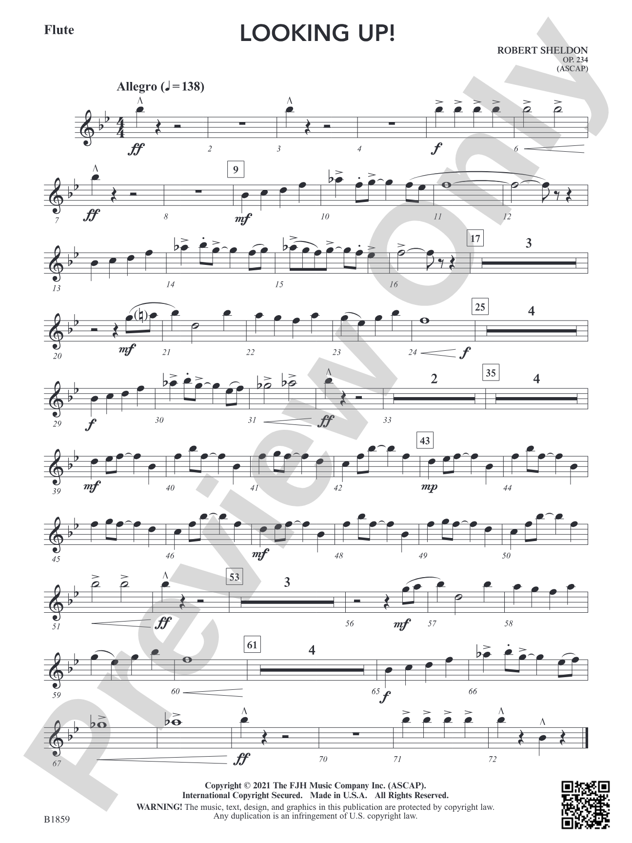 Looking Up!: Flute