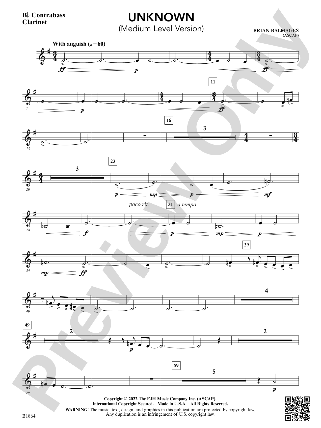 Unknown: B-flat Contrabass Clarinet
