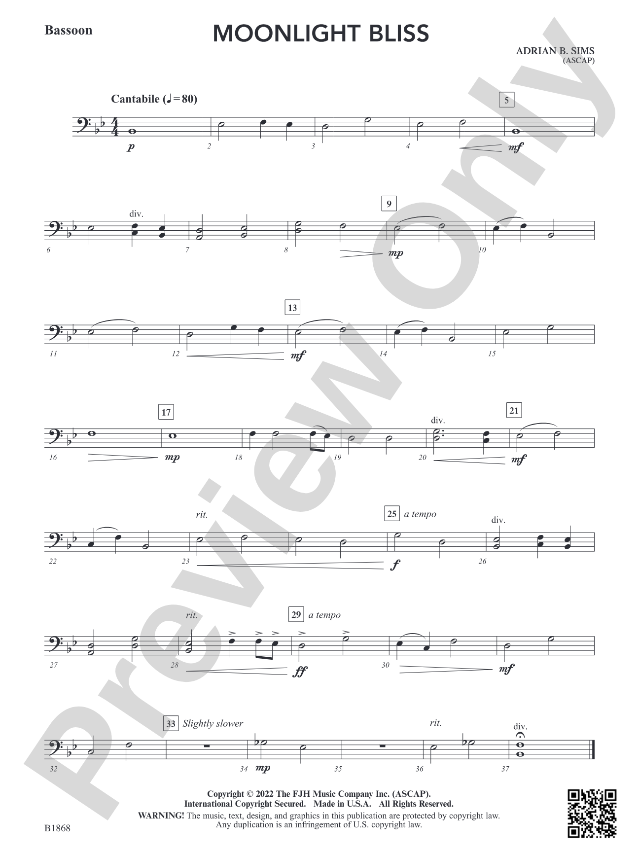Moonlight Bliss: Bassoon