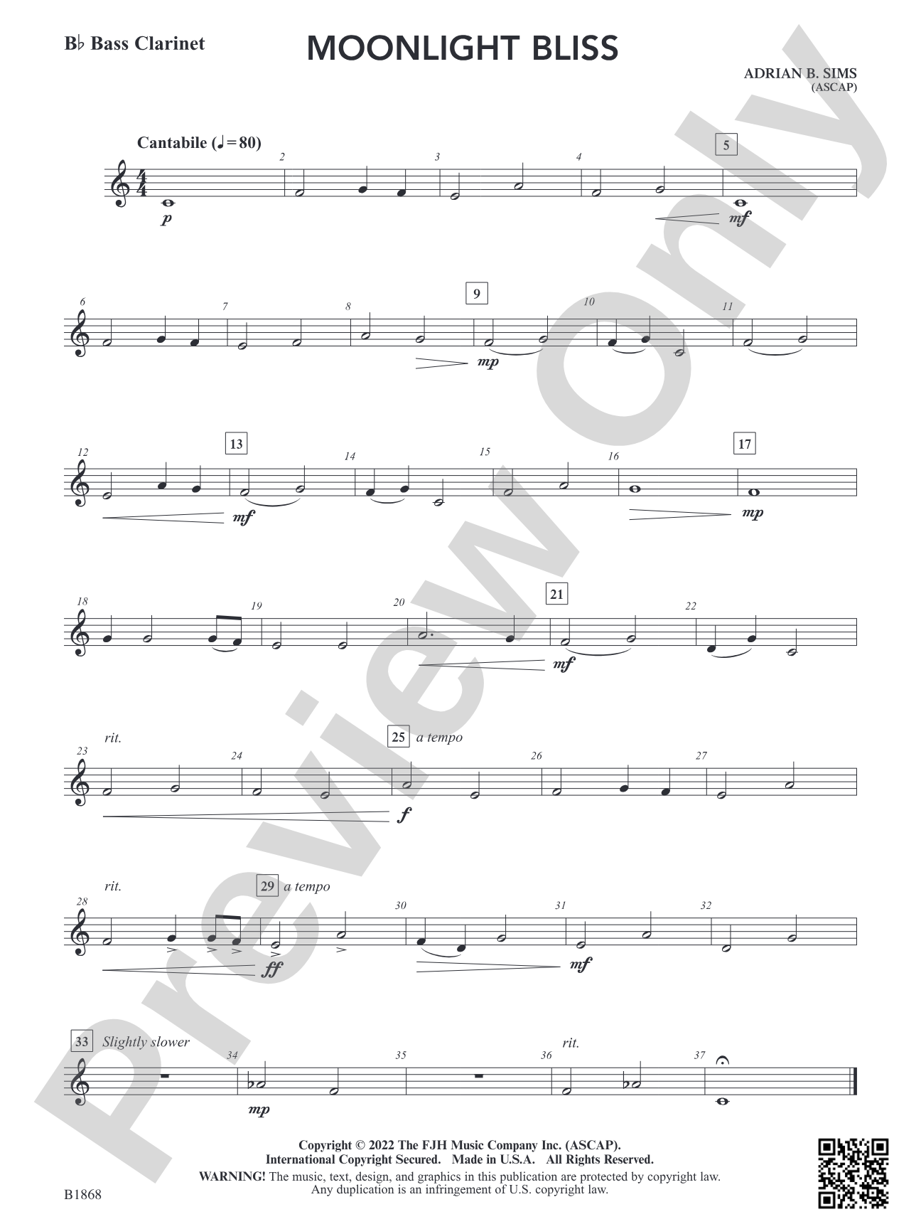 Moonlight Bliss: B-flat Bass Clarinet