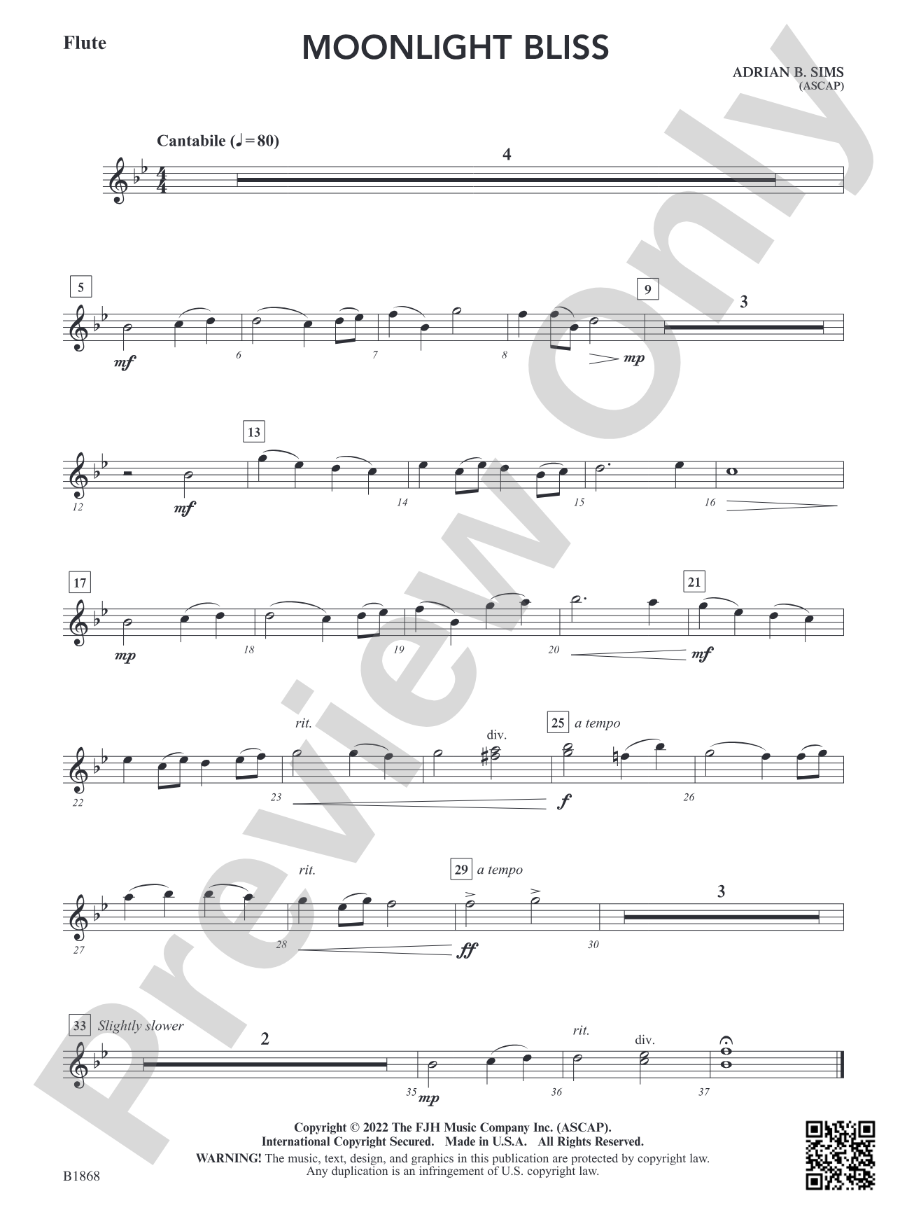 Moonlight Bliss: Flute