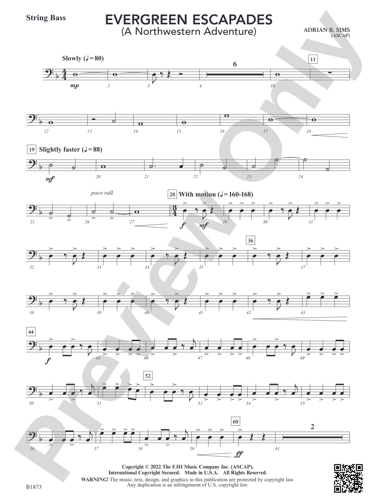 Evergreen Escapades: String Bass