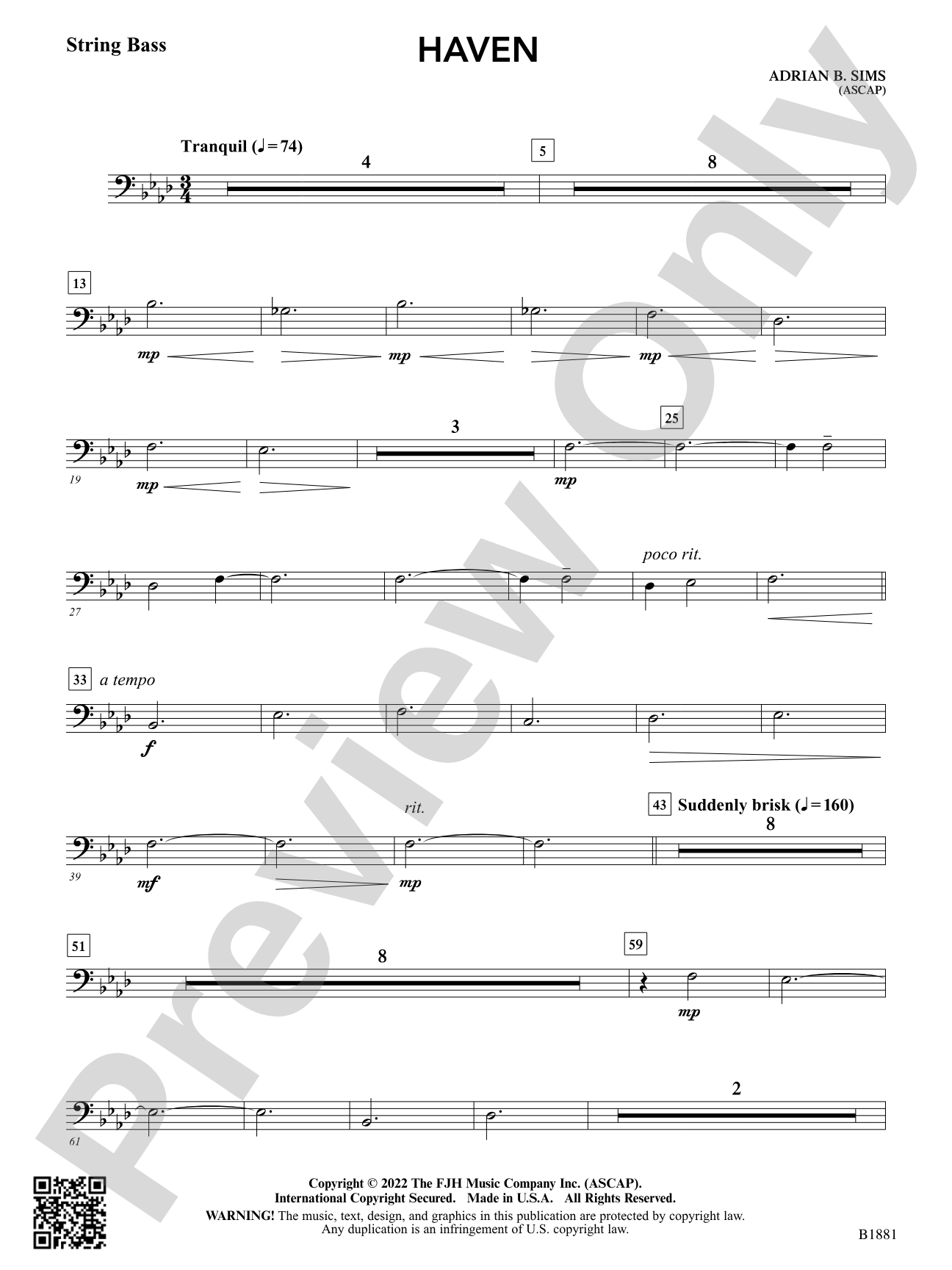 Haven: String Bass