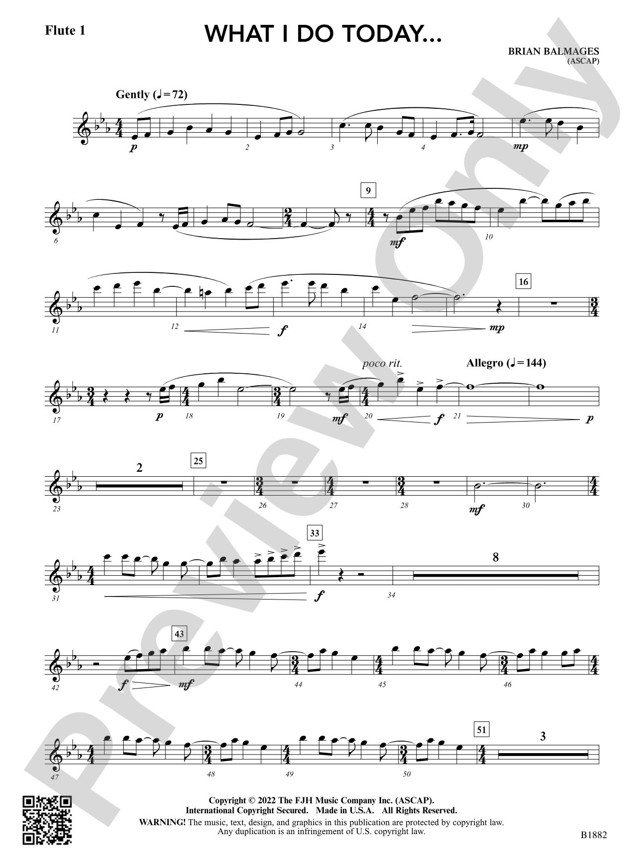What I Do Today...: Flute 1