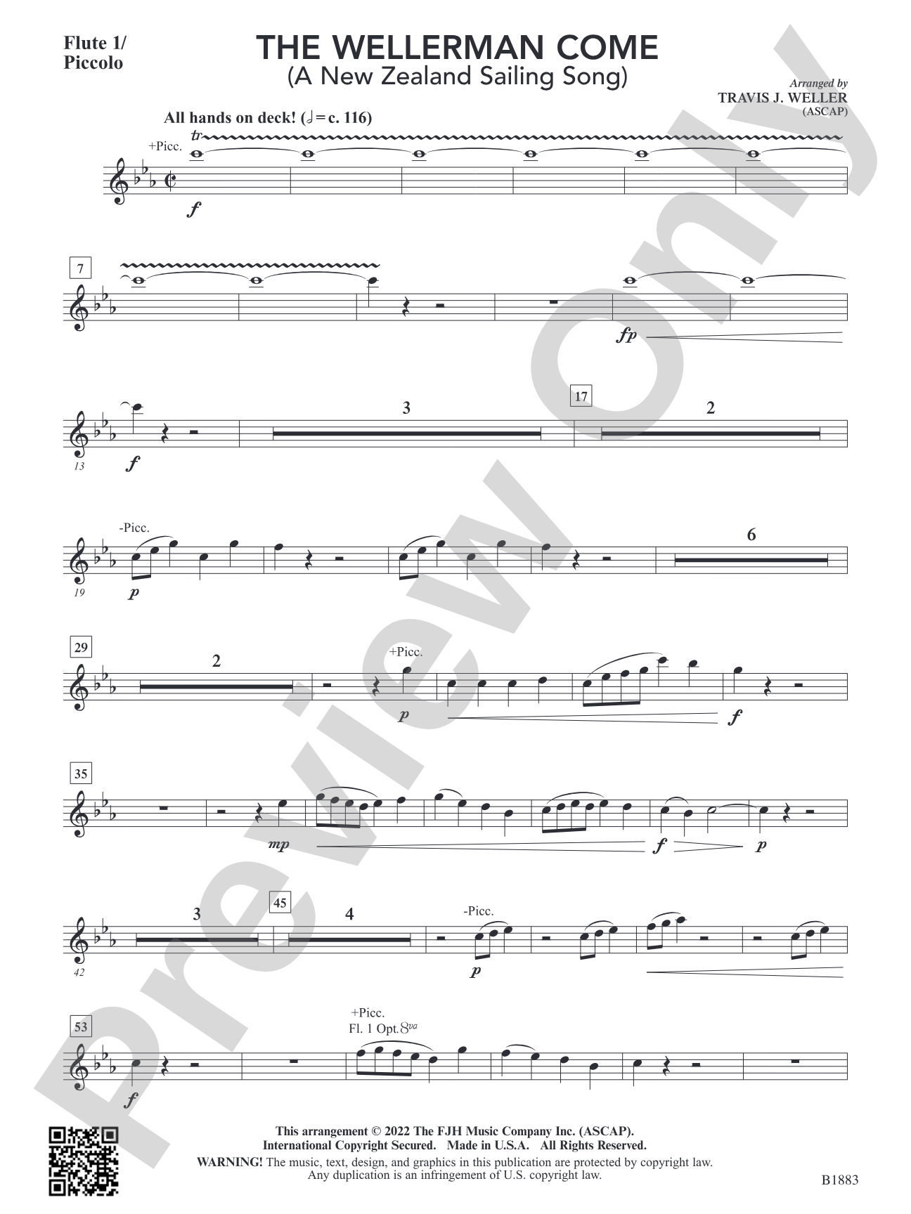 The Wellerman Come: Flute 1 / Piccolo