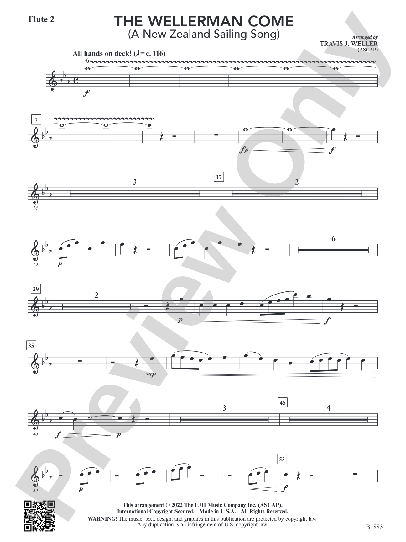 The Wellerman Come: Flute 2