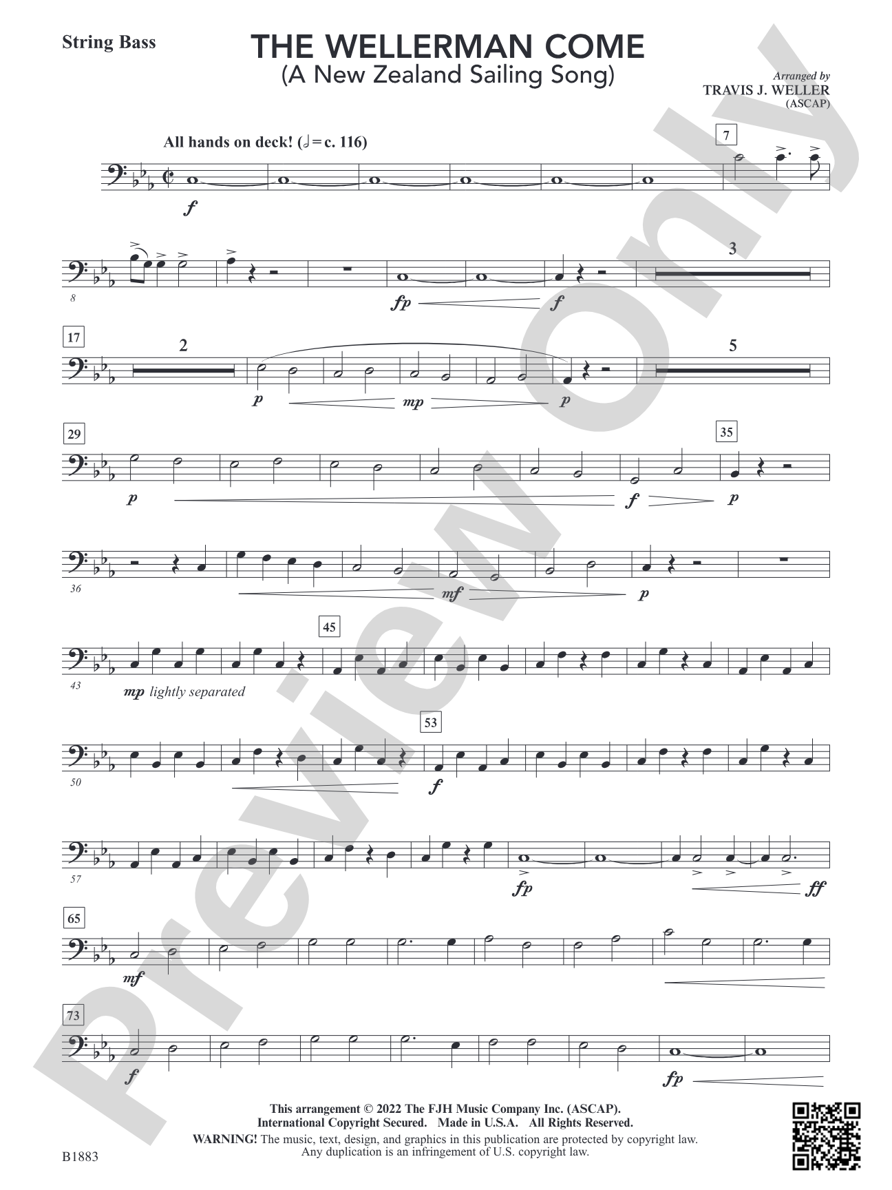 The Wellerman Come: String Bass