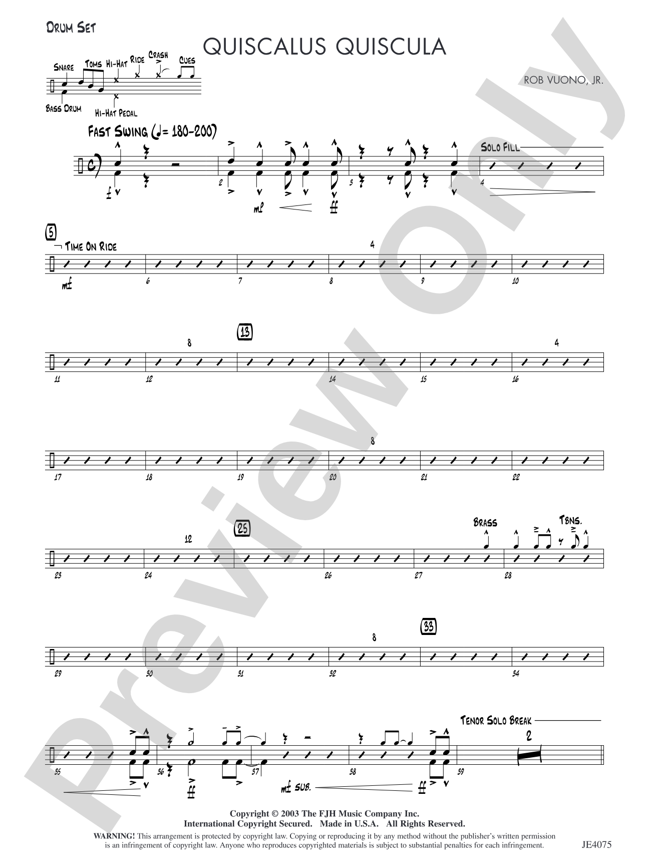 Quiscalus Quiscula: Drum Set