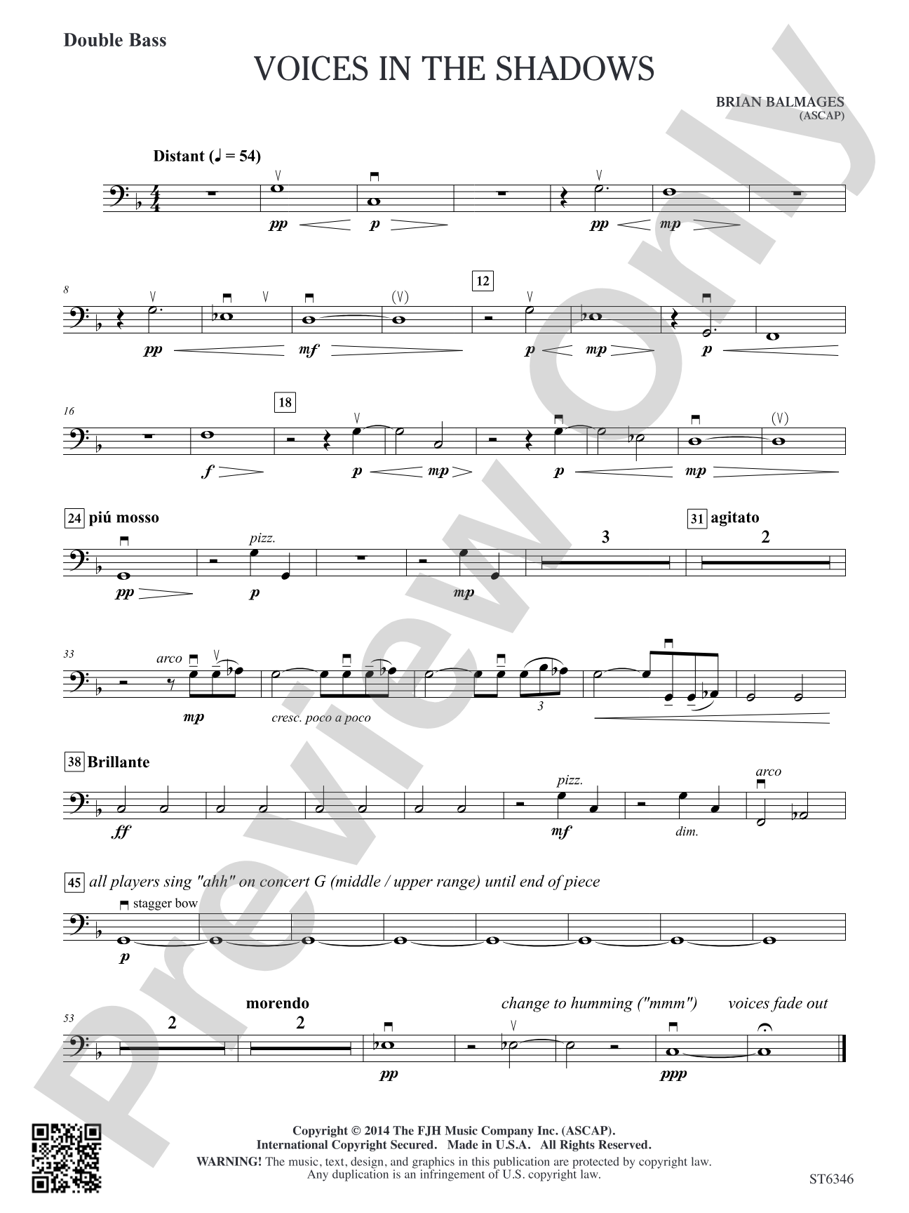 Voices in the Shadows: Double Bass