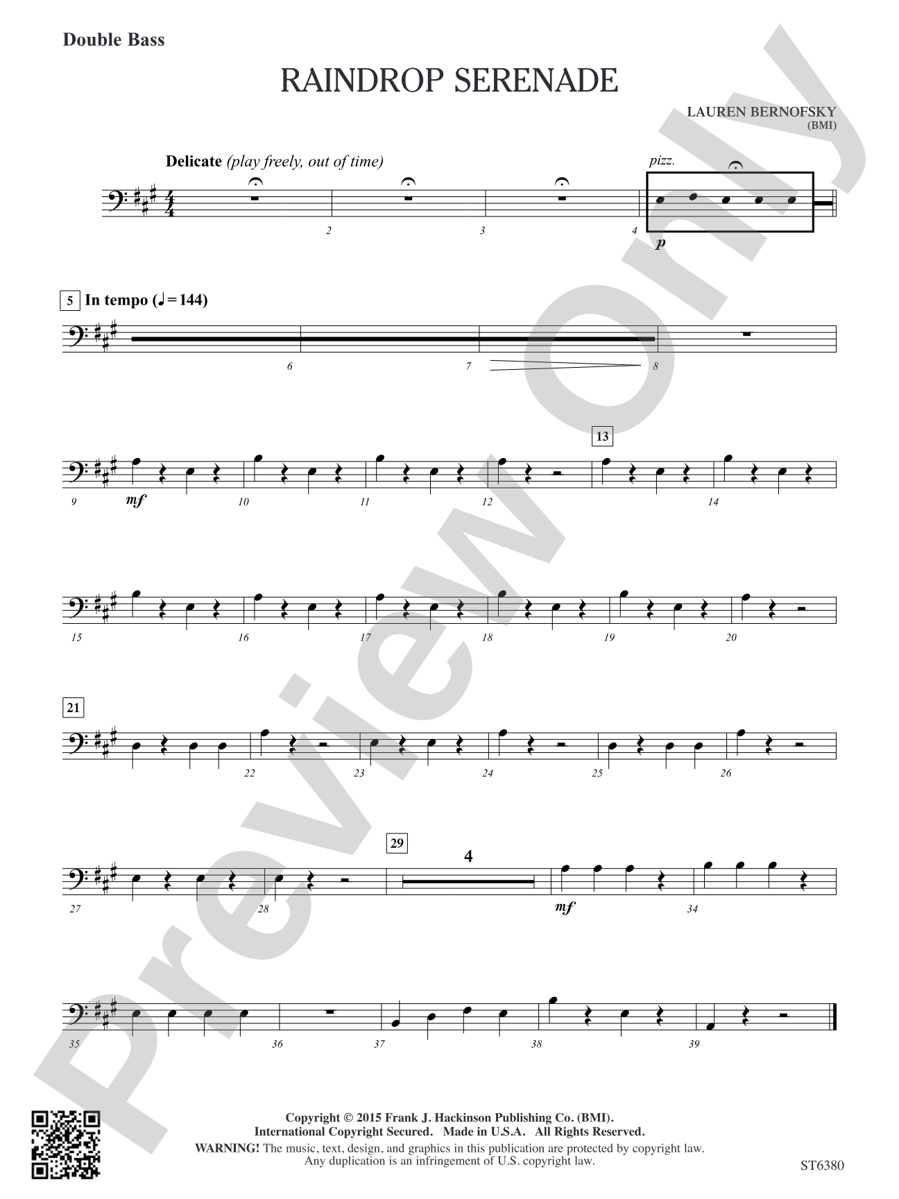 Raindrop Serenade: Double Bass