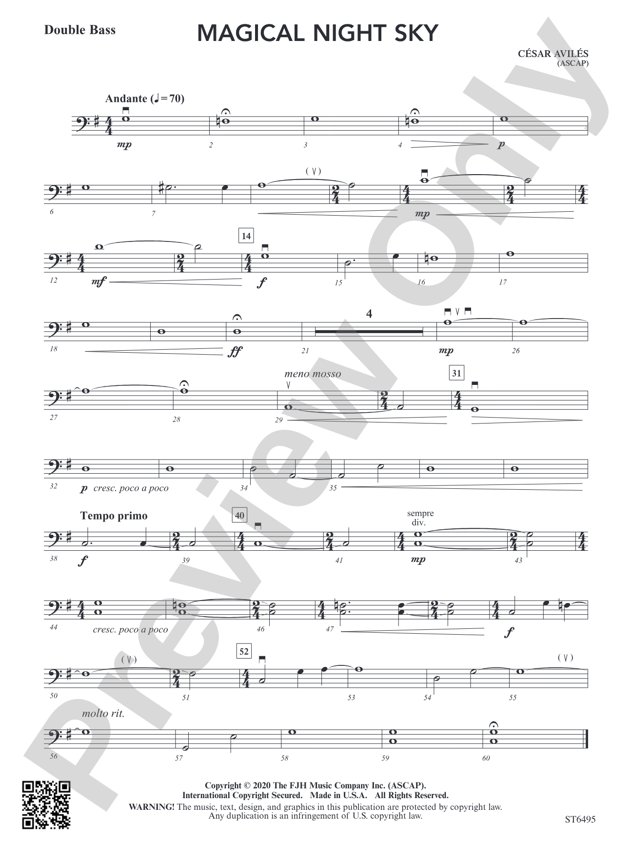 Magical Night Sky: Double Bass