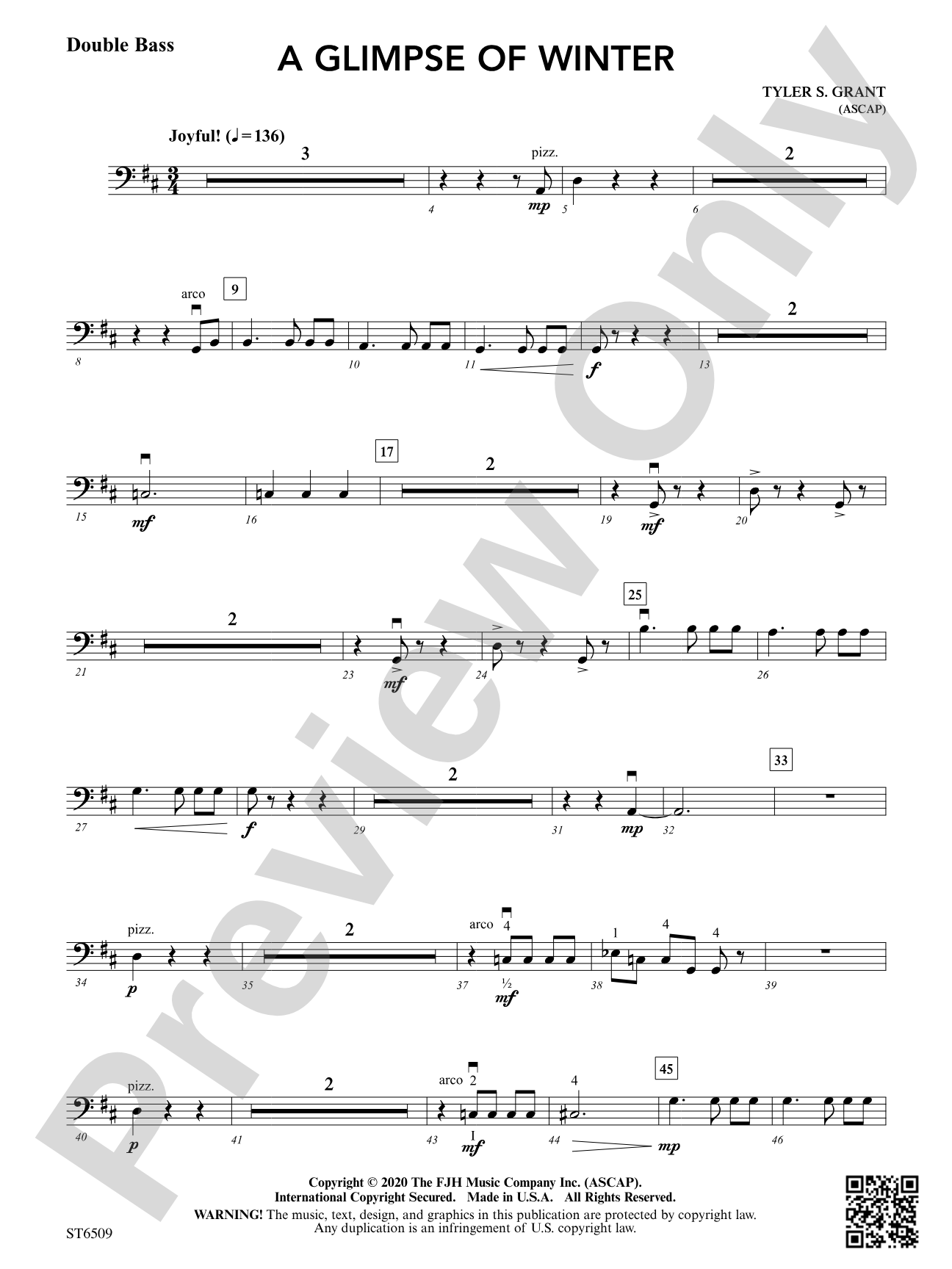 A Glimpse of Winter: Double Bass
