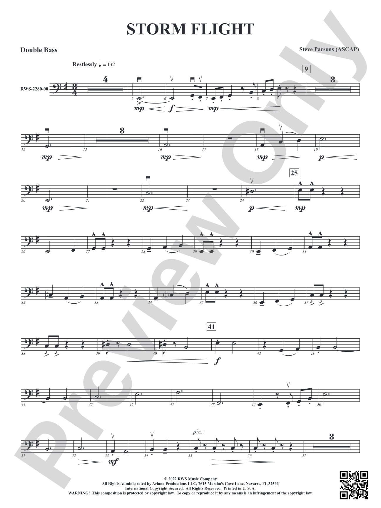 Storm Flight: String Bass