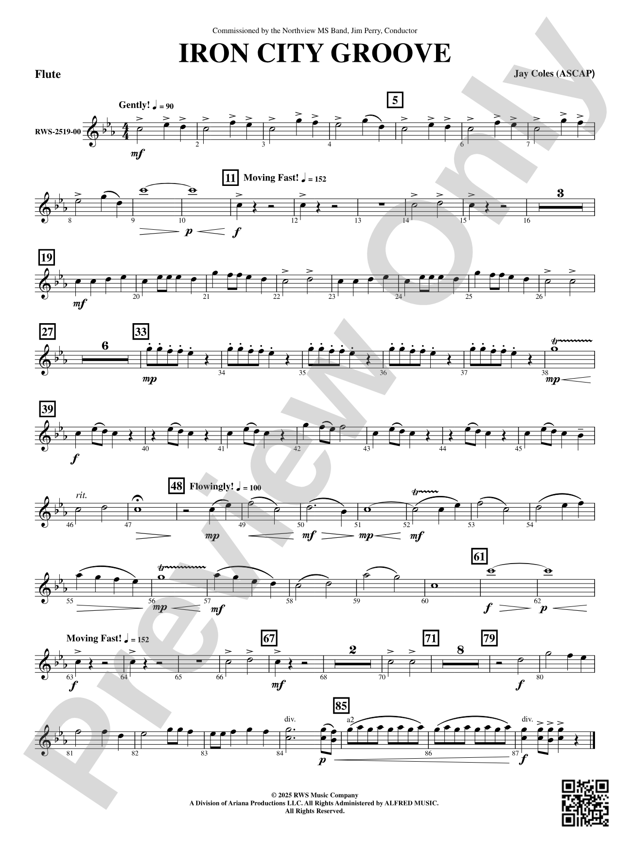 Iron City Groove: Flute