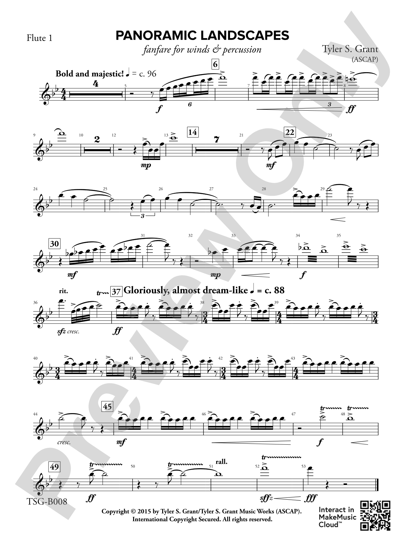 Panoramic Landscapes: 1st Flute