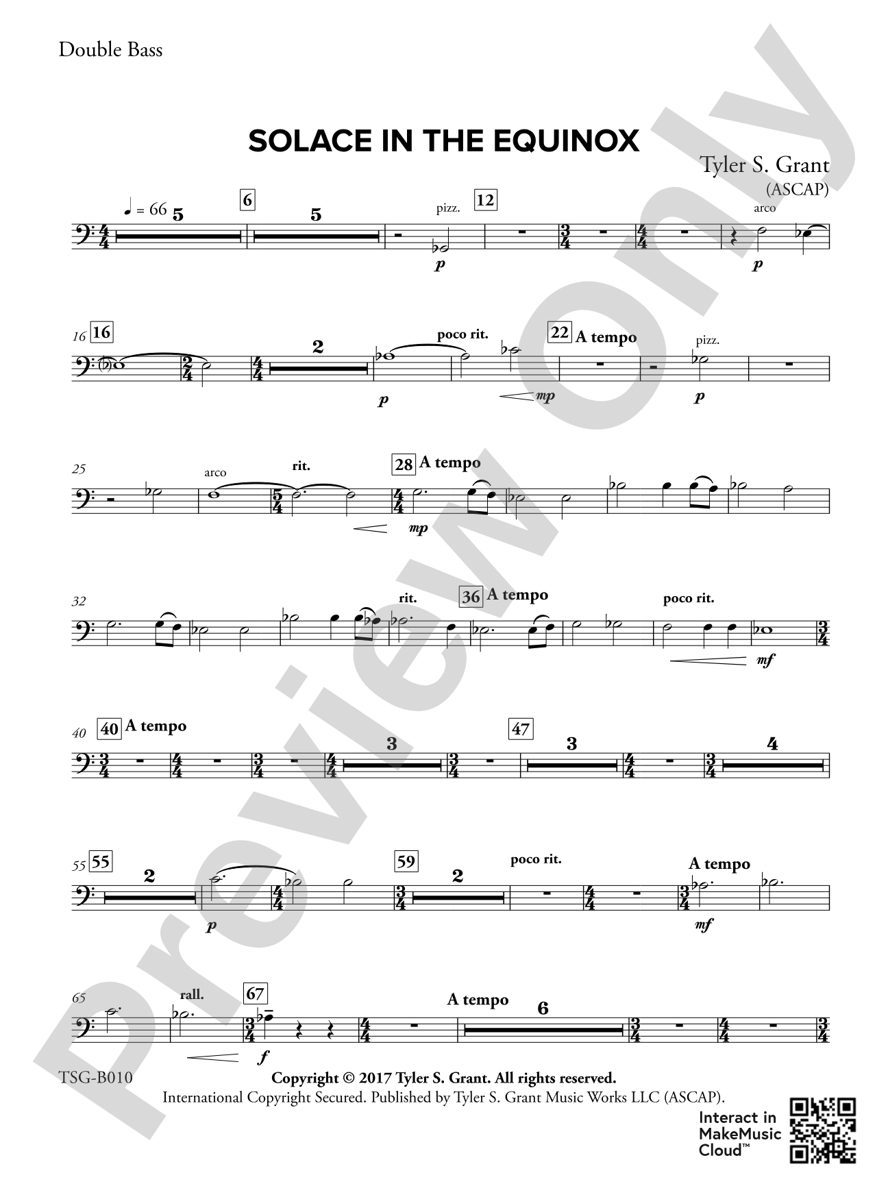 Solace in the Equinox: String Bass