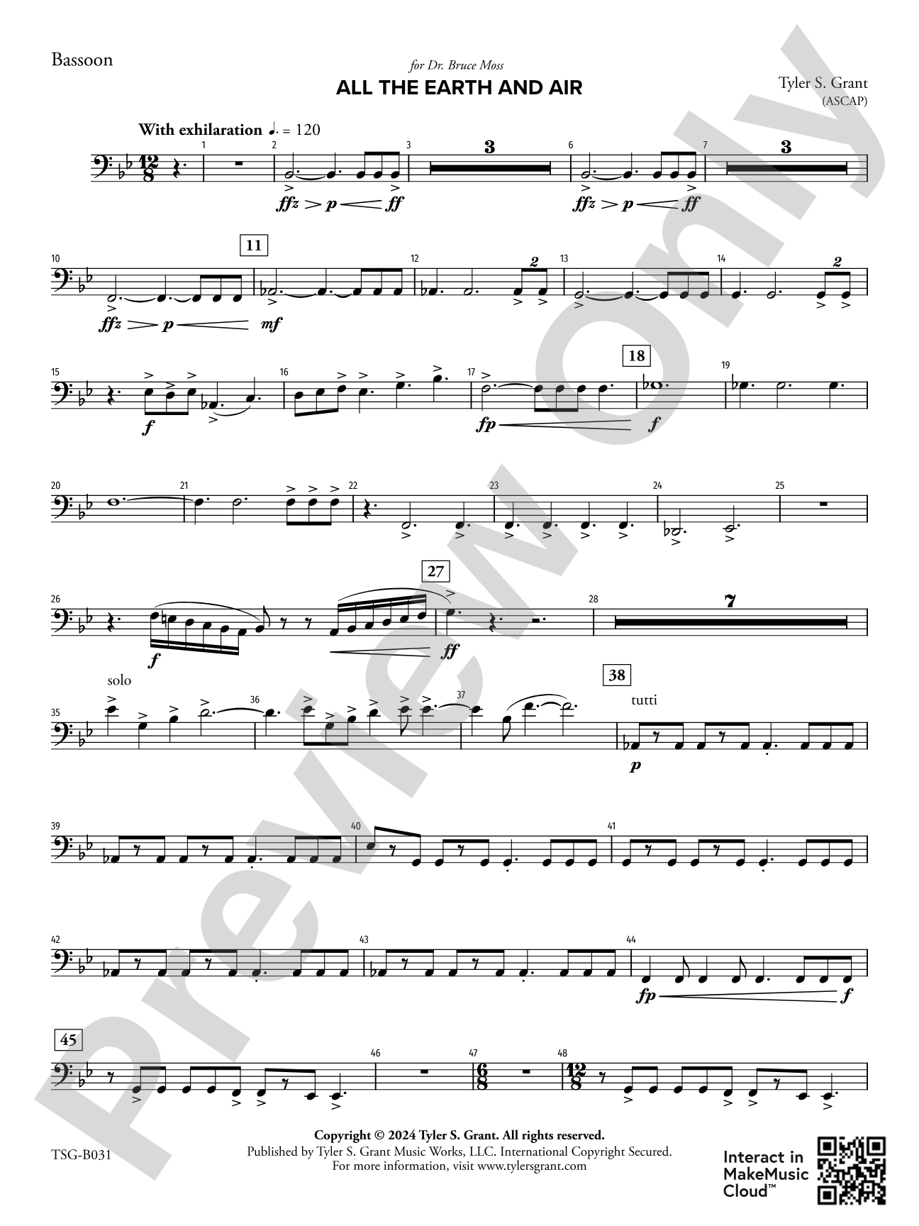 All the Earth and Air: Bassoon