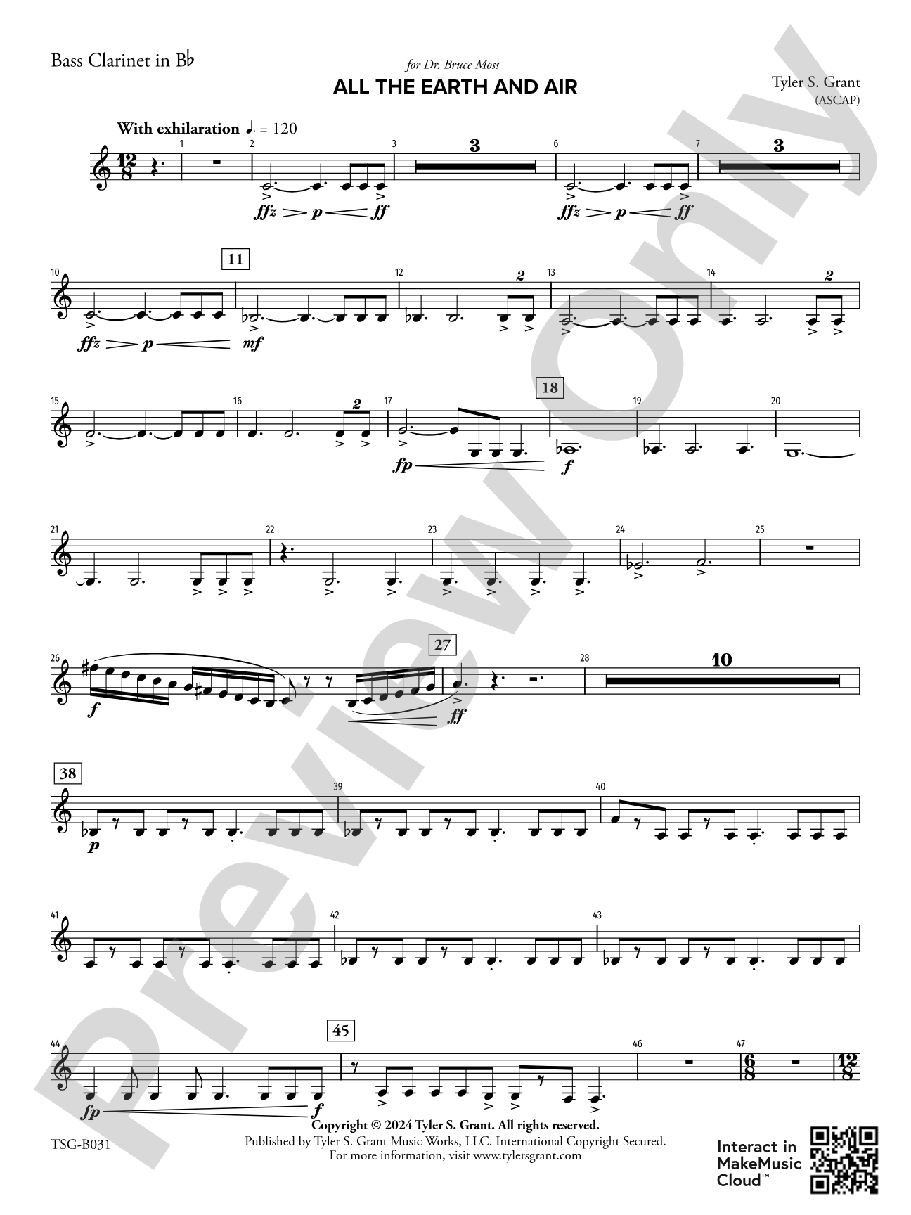 All the Earth and Air: B-flat Bass Clarinet