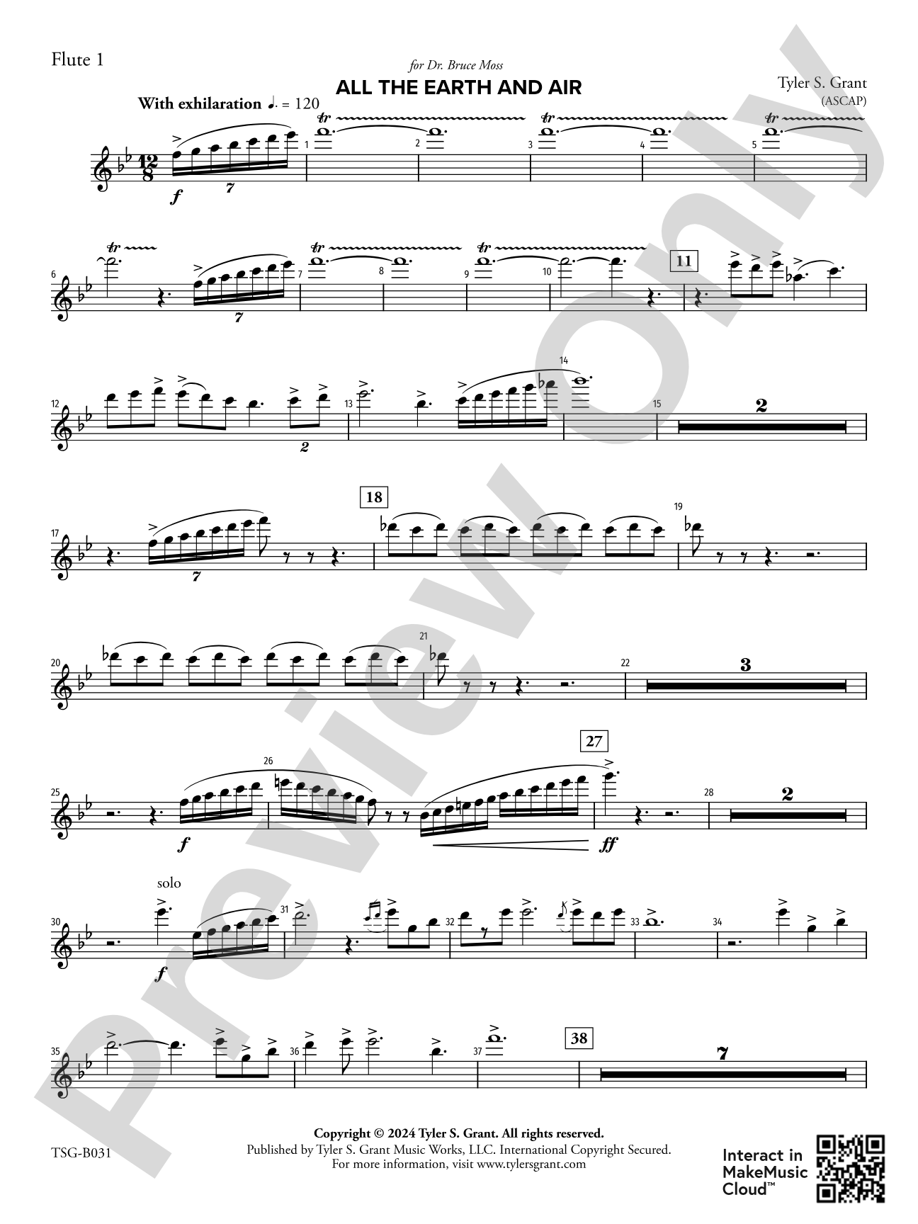 All the Earth and Air: 1st Flute