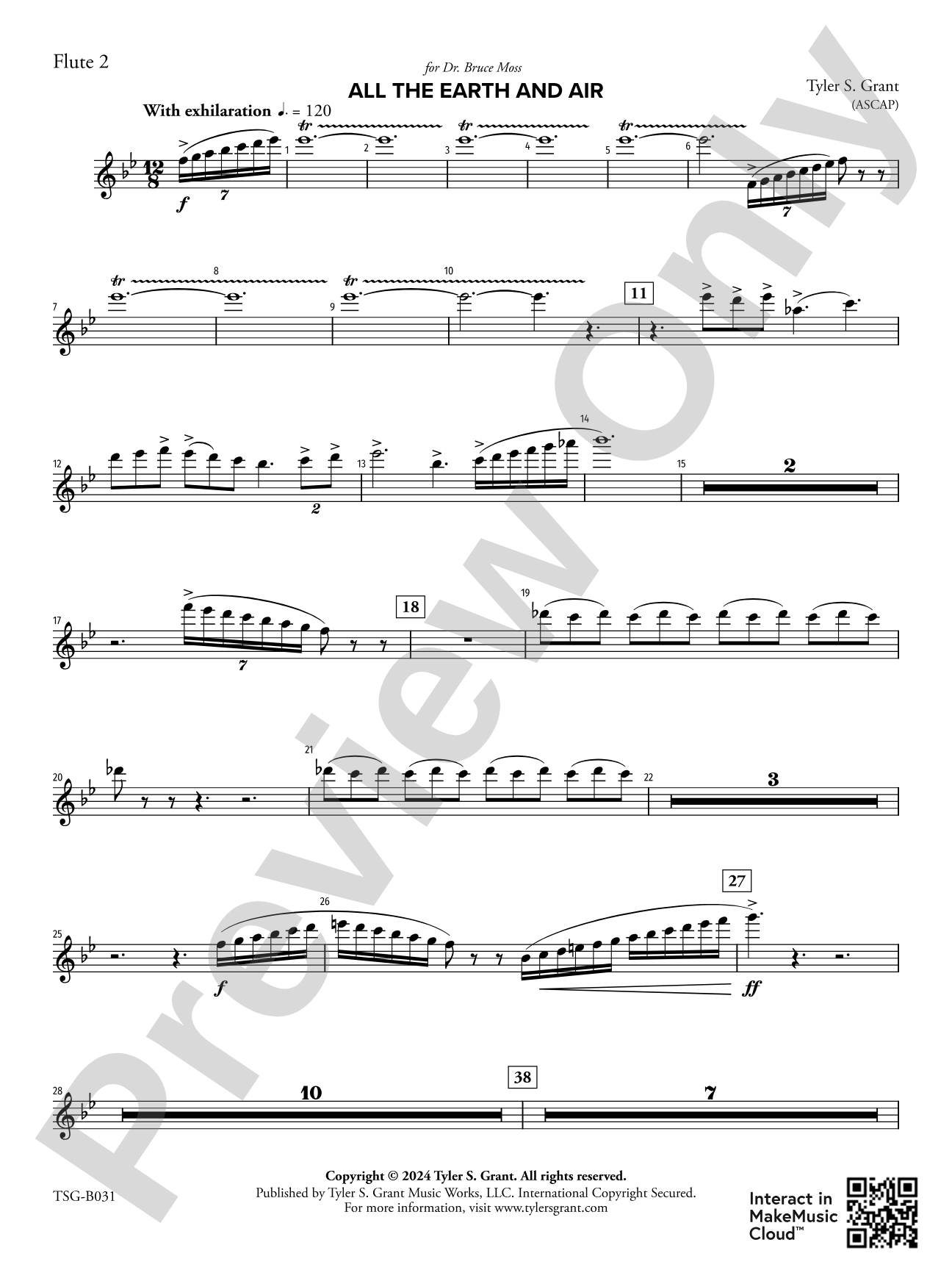 All the Earth and Air: 2nd Flute