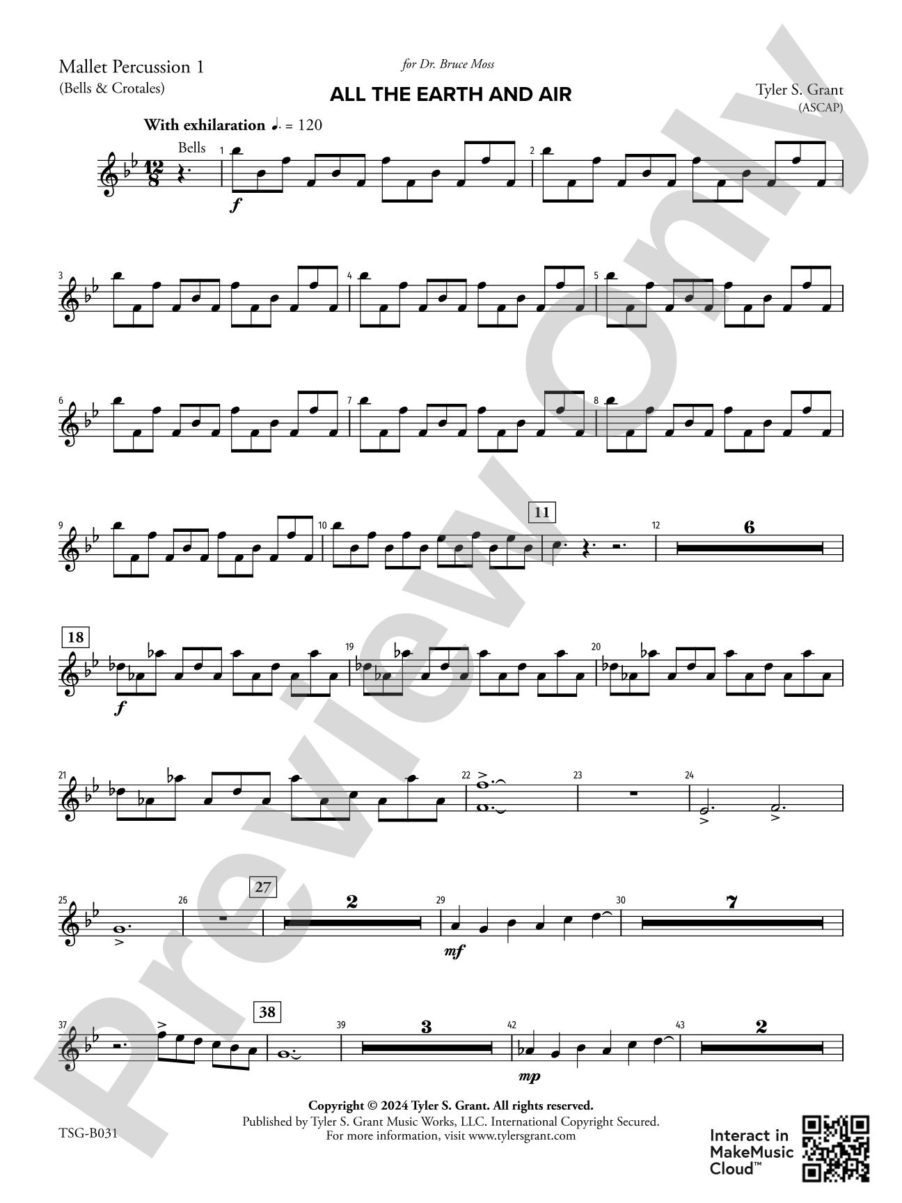 All the Earth and Air: 1st Mallet Percussion