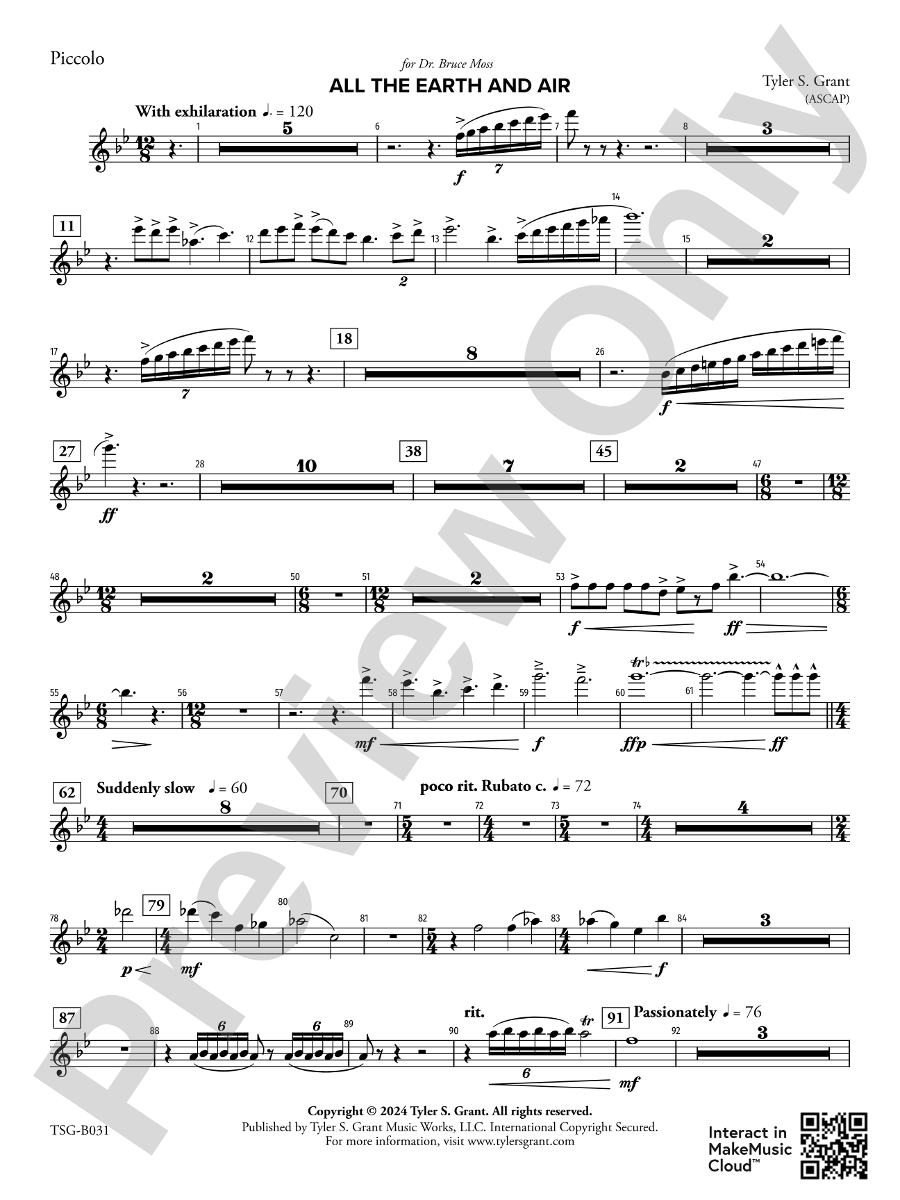All the Earth and Air: Piccolo