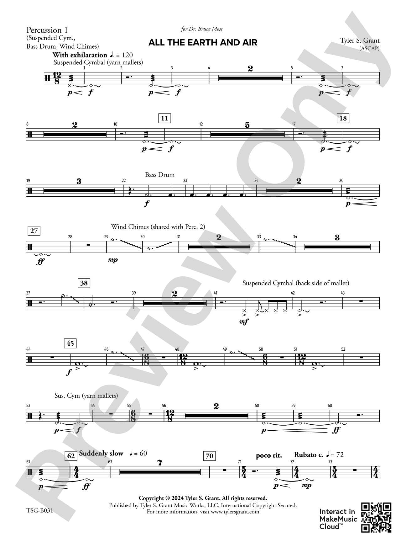 All the Earth and Air: 1st Percussion