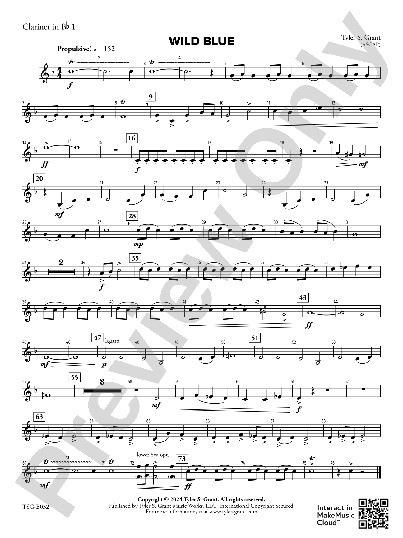 Wild Blue: 1st B-flat Clarinet