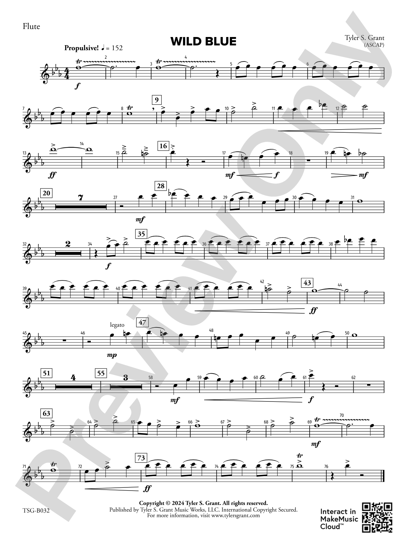 Wild Blue: Flute