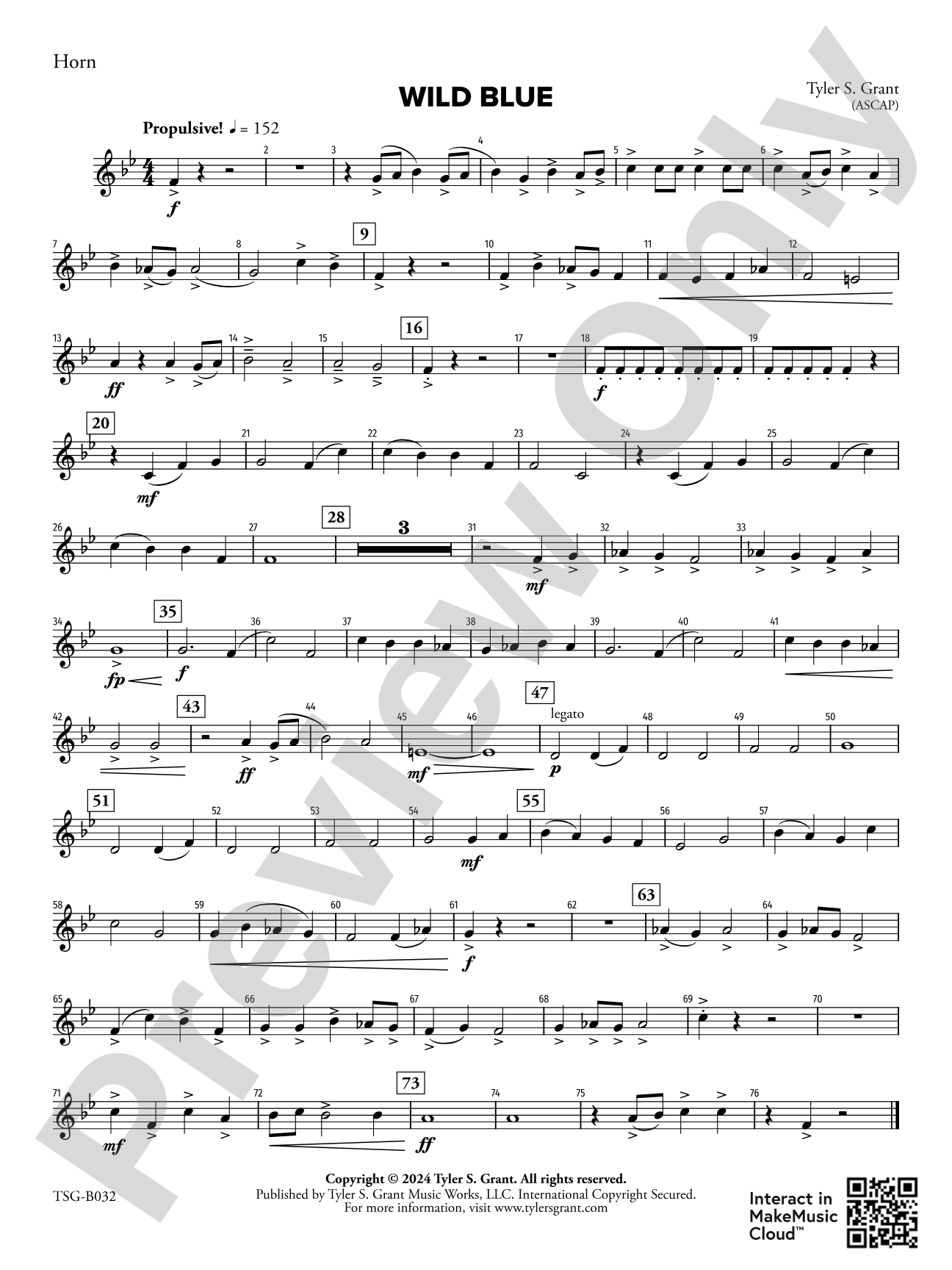 Wild Blue: 1st F Horn