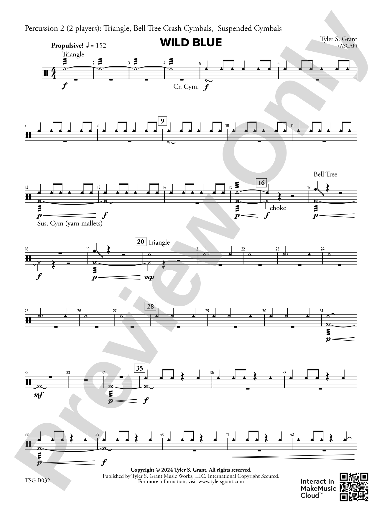 Wild Blue: 2nd Percussion