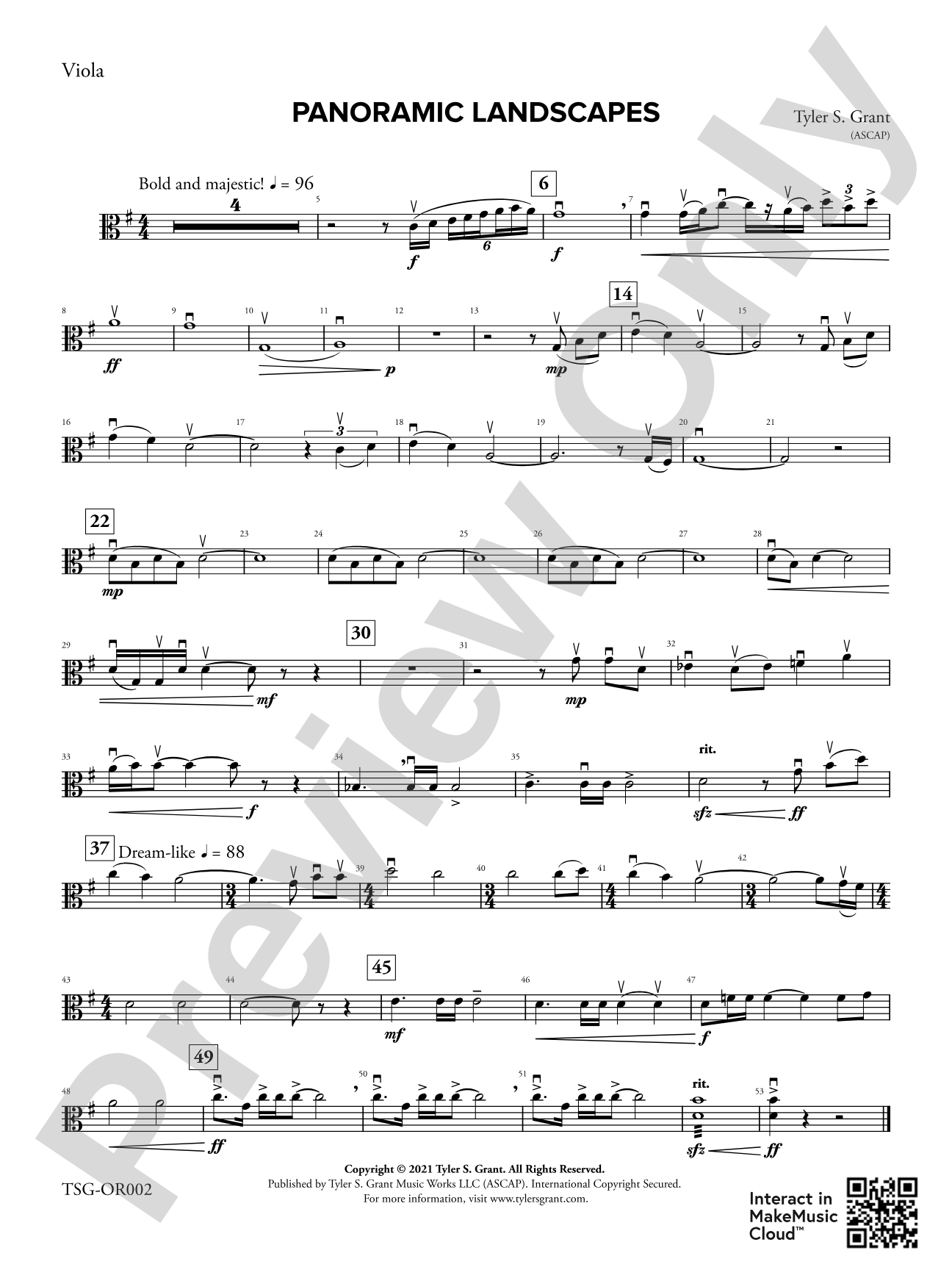 Panoramic Landscapes: Viola