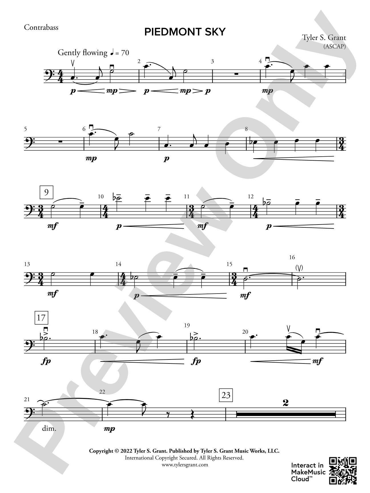 Piedmont Sky: String Bass