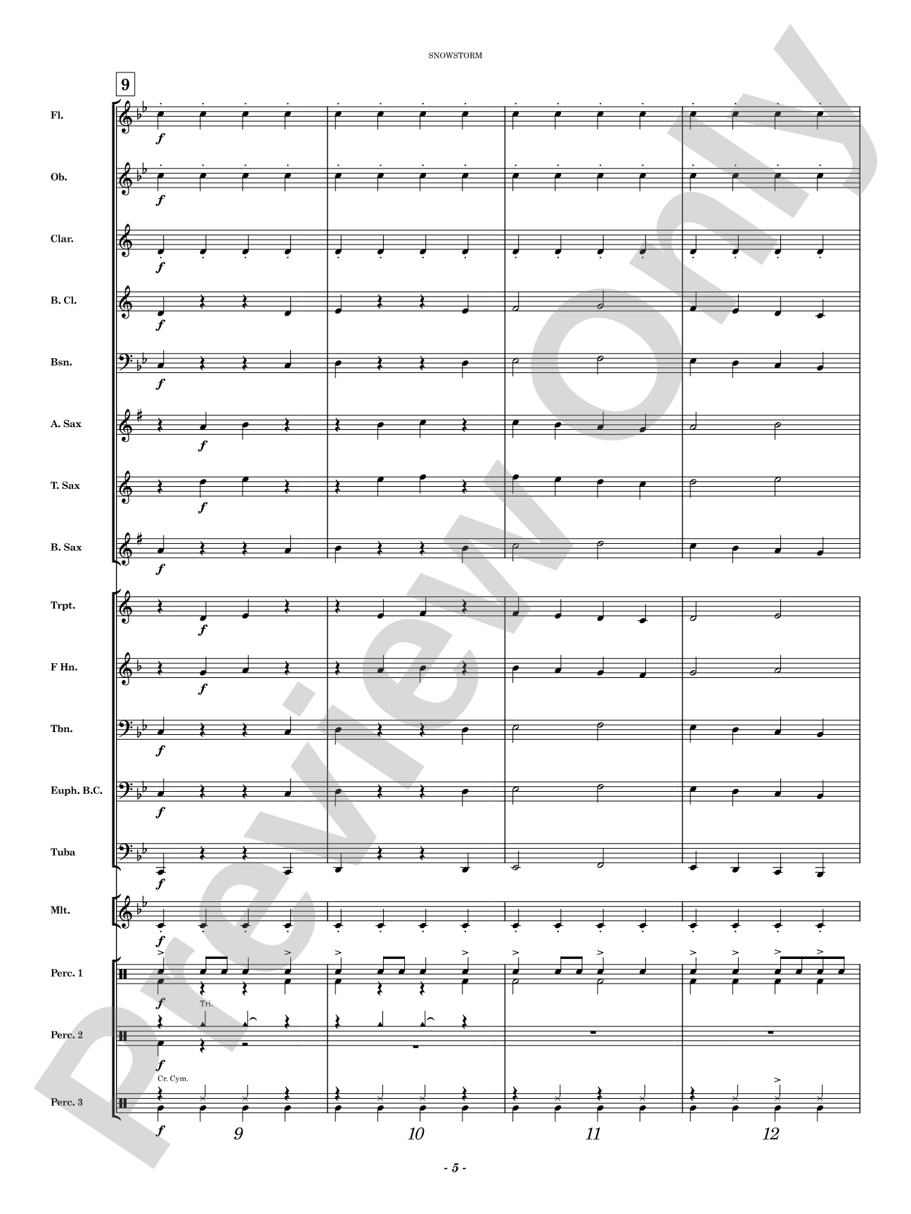 Snowstorm: Concert Band Conductor Score & Parts