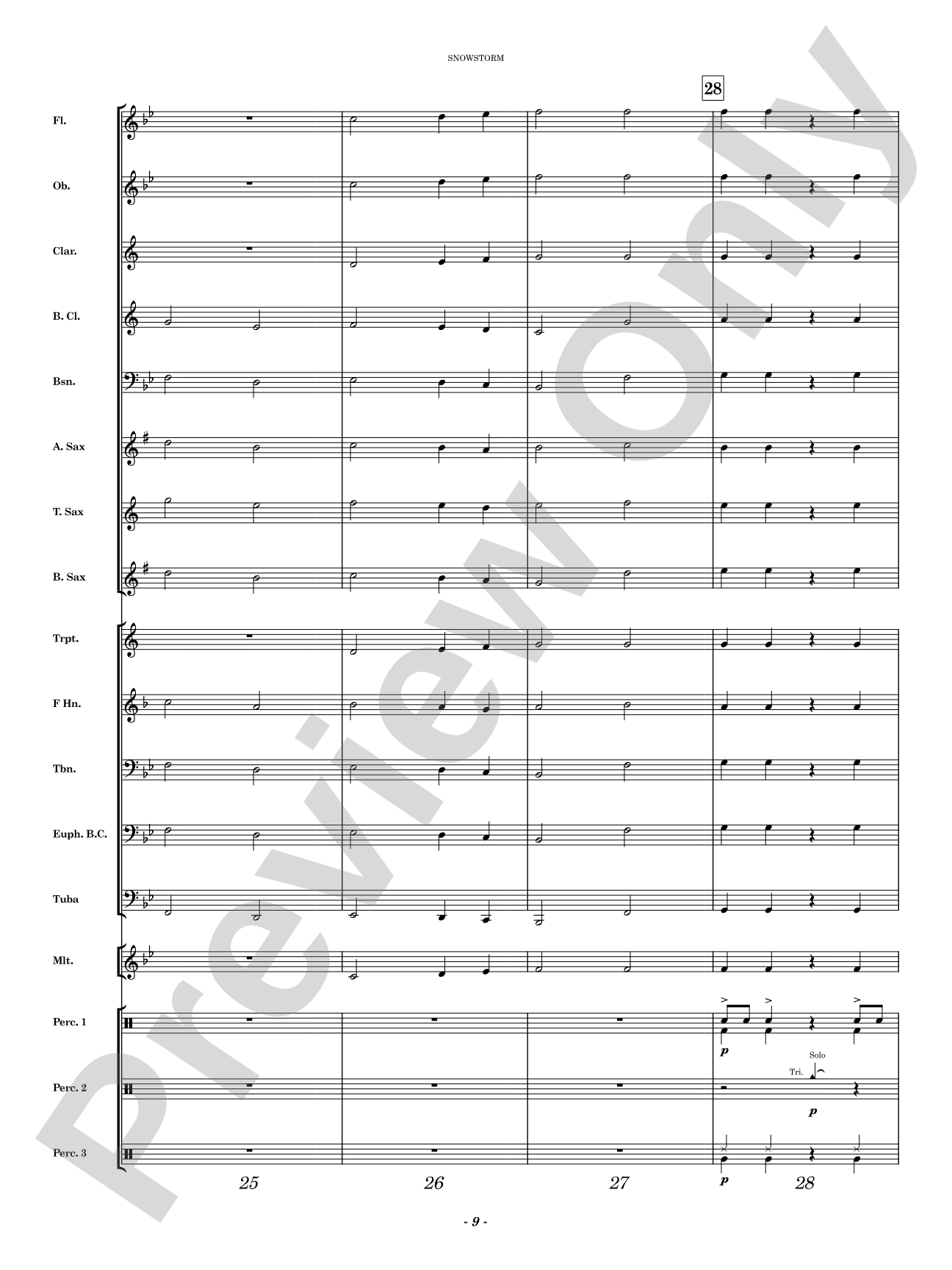 Snowstorm: Concert Band Conductor Score & Parts