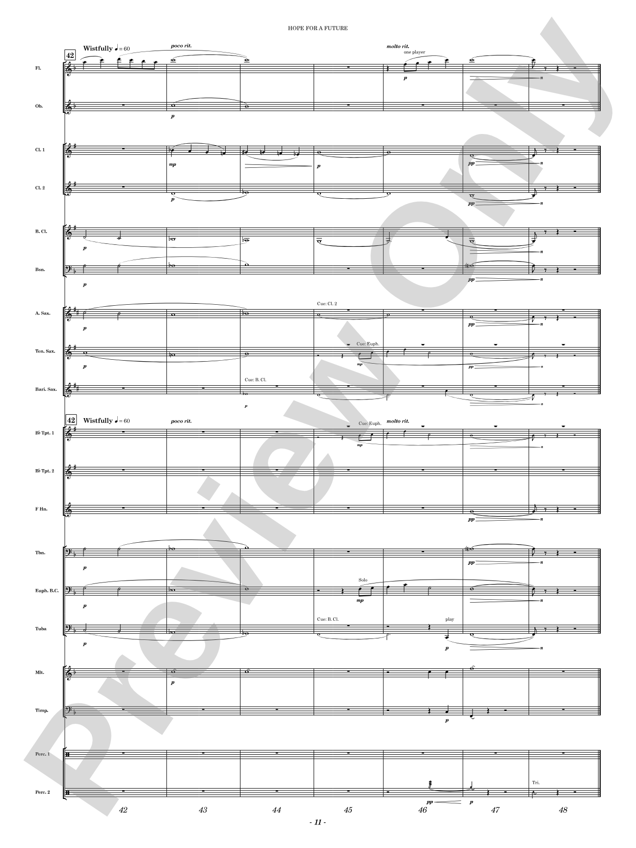 Hope for a Future: Concert Band Conductor Score & Parts