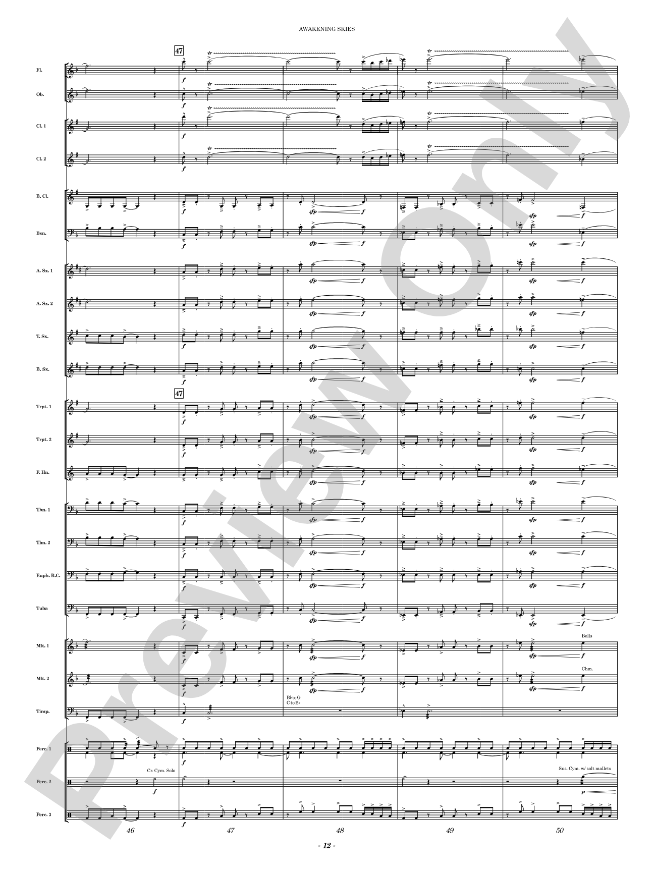 Awakening Skies: Concert Band Conductor Score & Parts