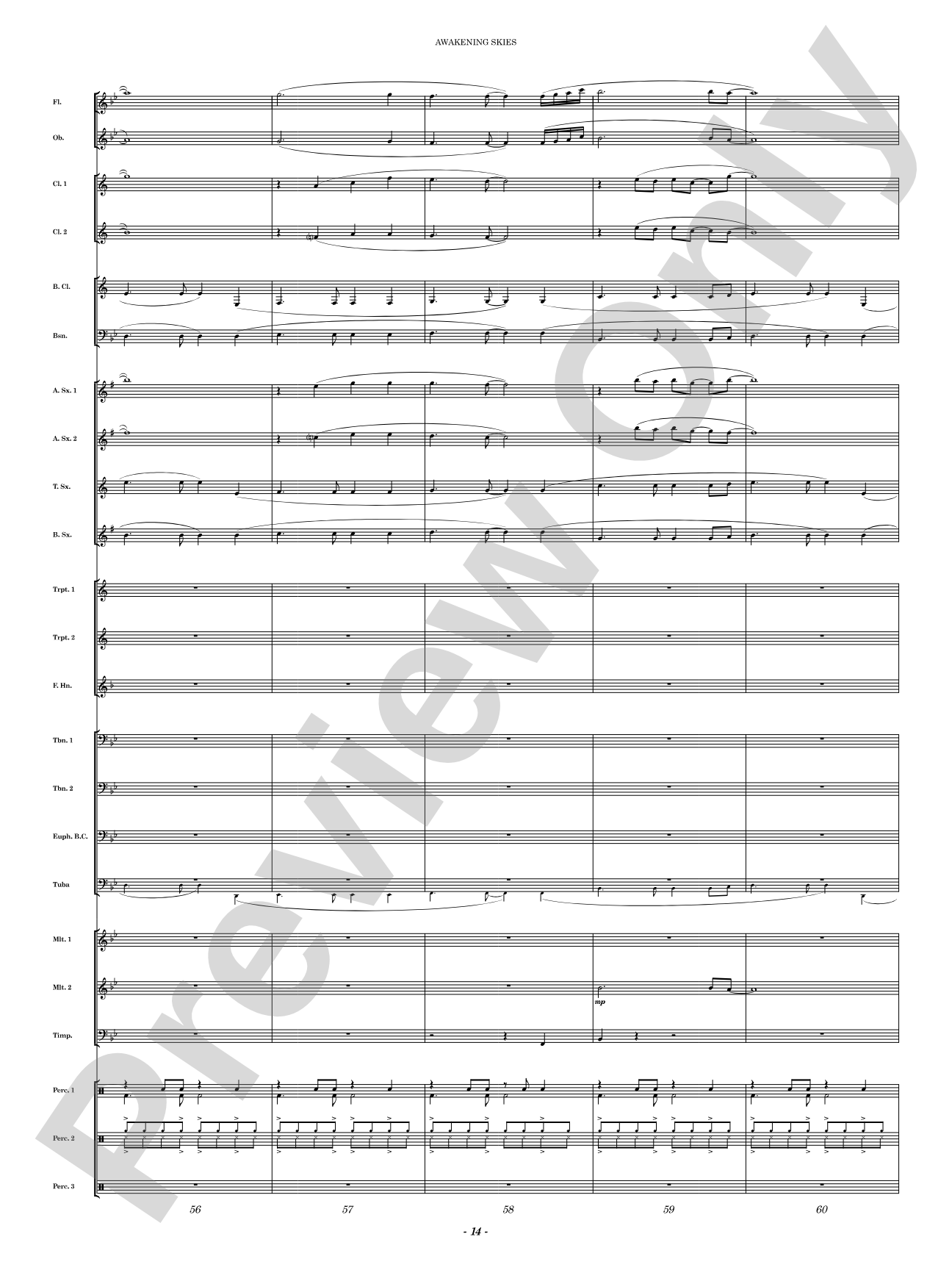 Awakening Skies: Concert Band Conductor Score & Parts