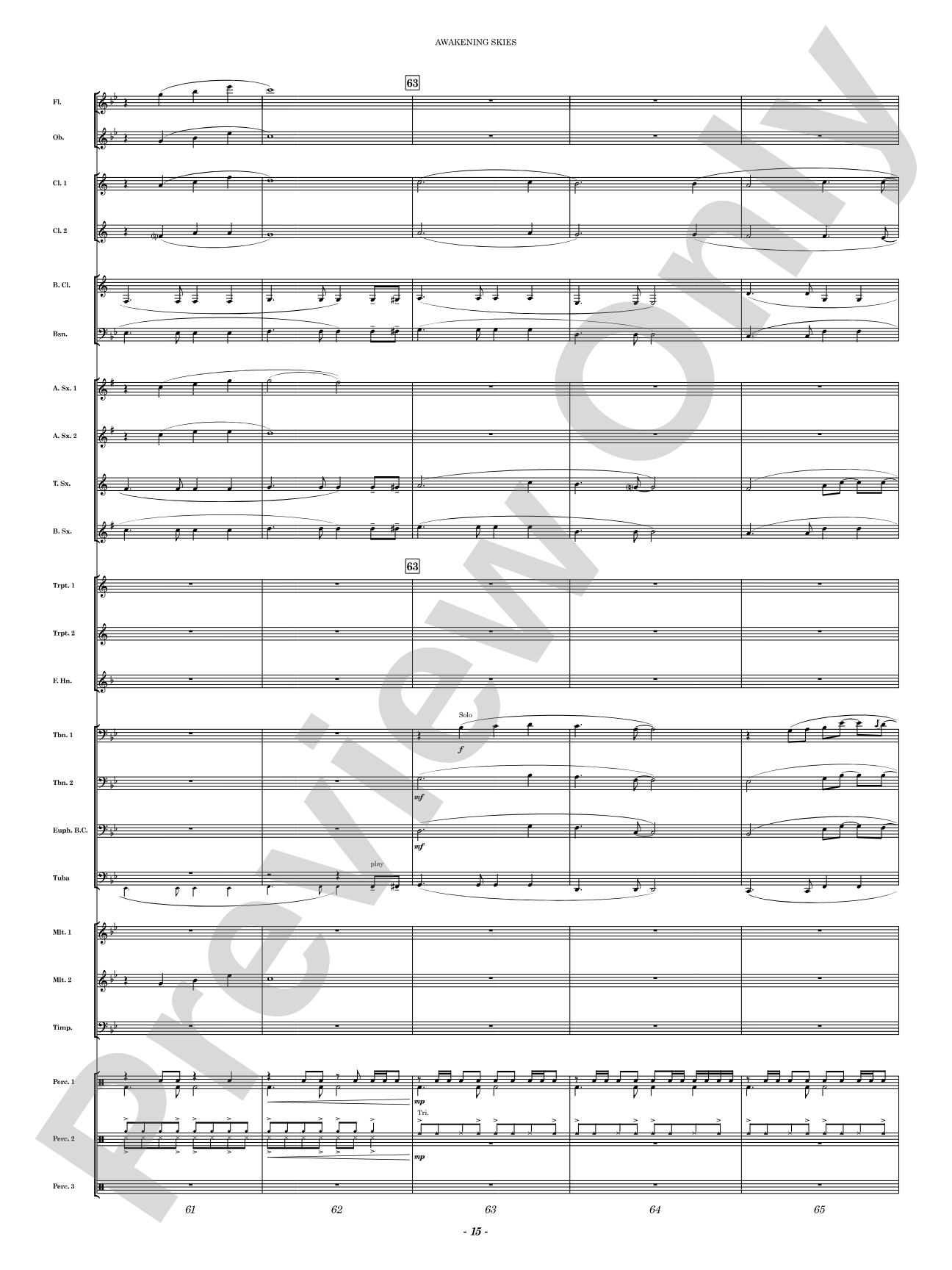 Awakening Skies: Concert Band Conductor Score & Parts