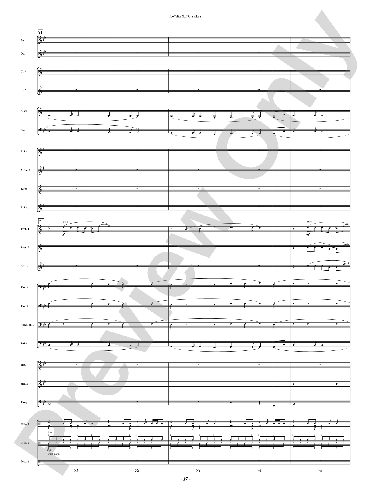 Awakening Skies: Concert Band Conductor Score & Parts