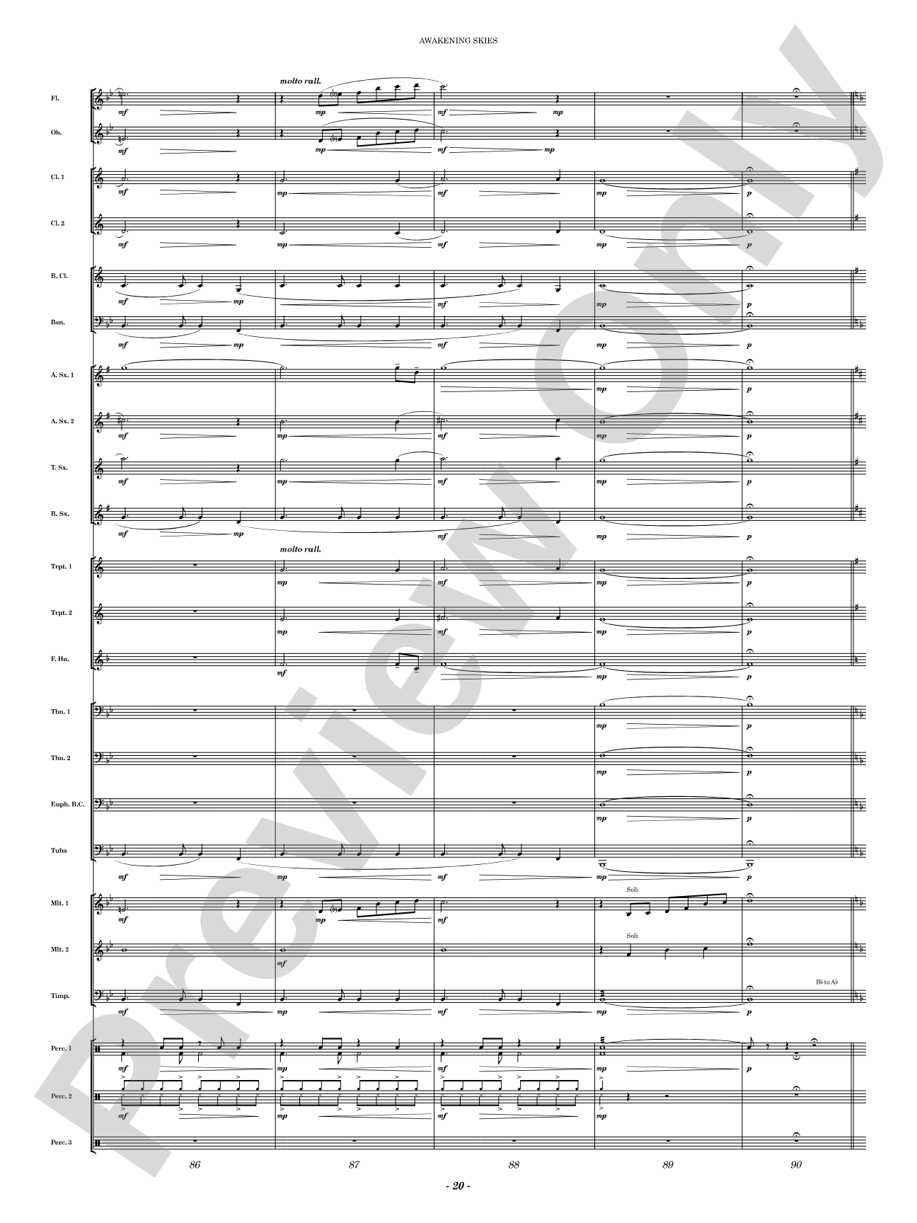 Awakening Skies: Concert Band Conductor Score & Parts