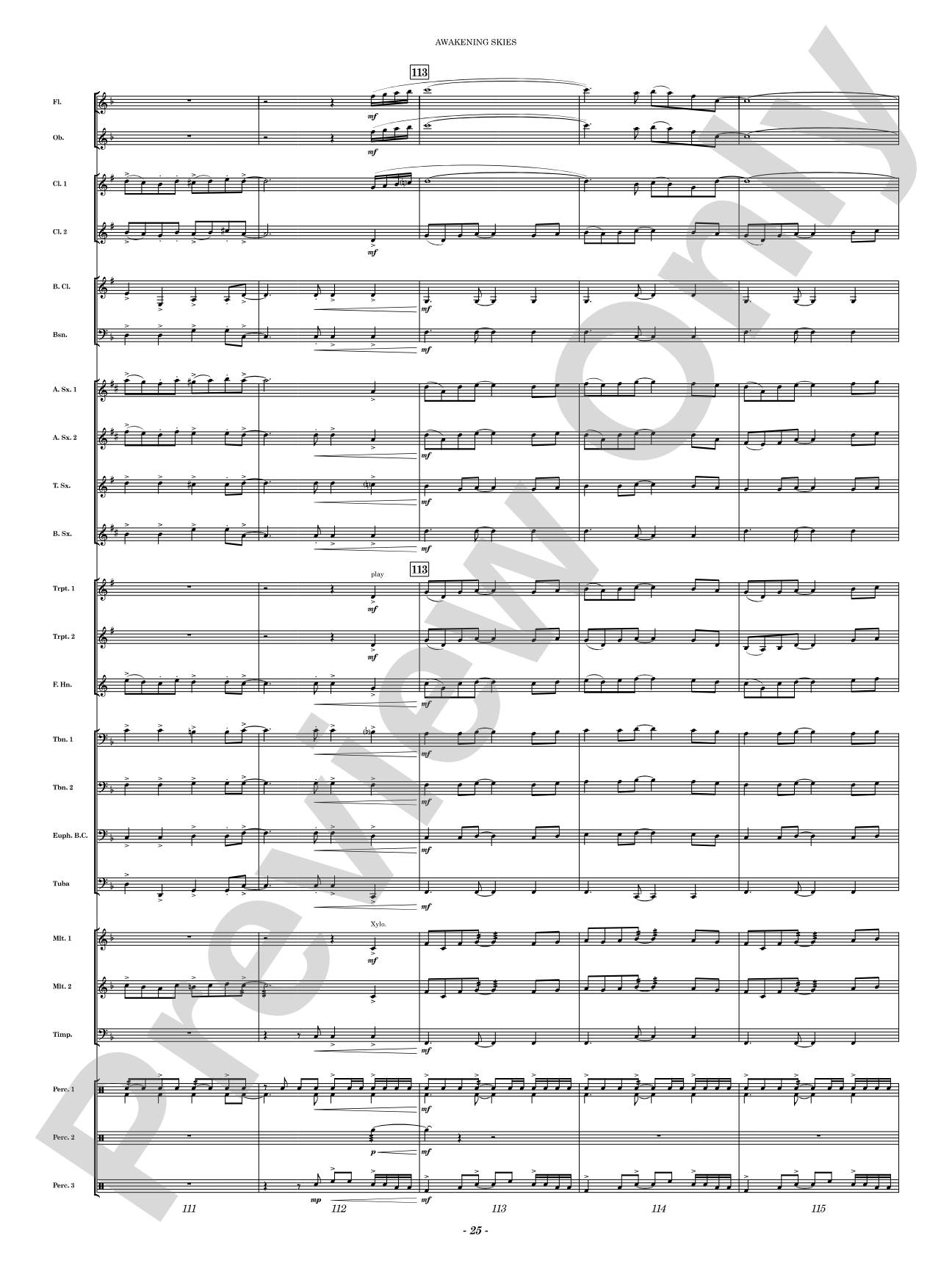 Awakening Skies: Concert Band Conductor Score & Parts