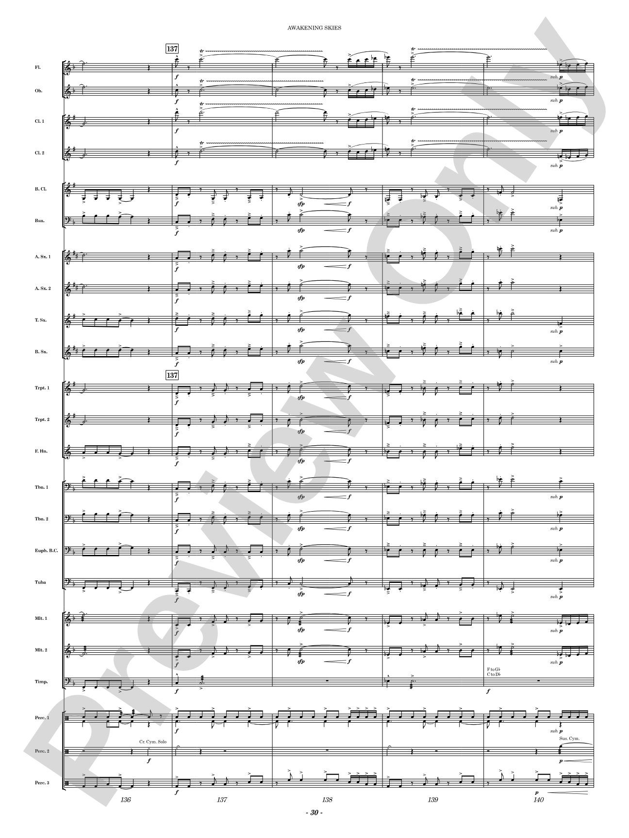Awakening Skies: Concert Band Conductor Score & Parts