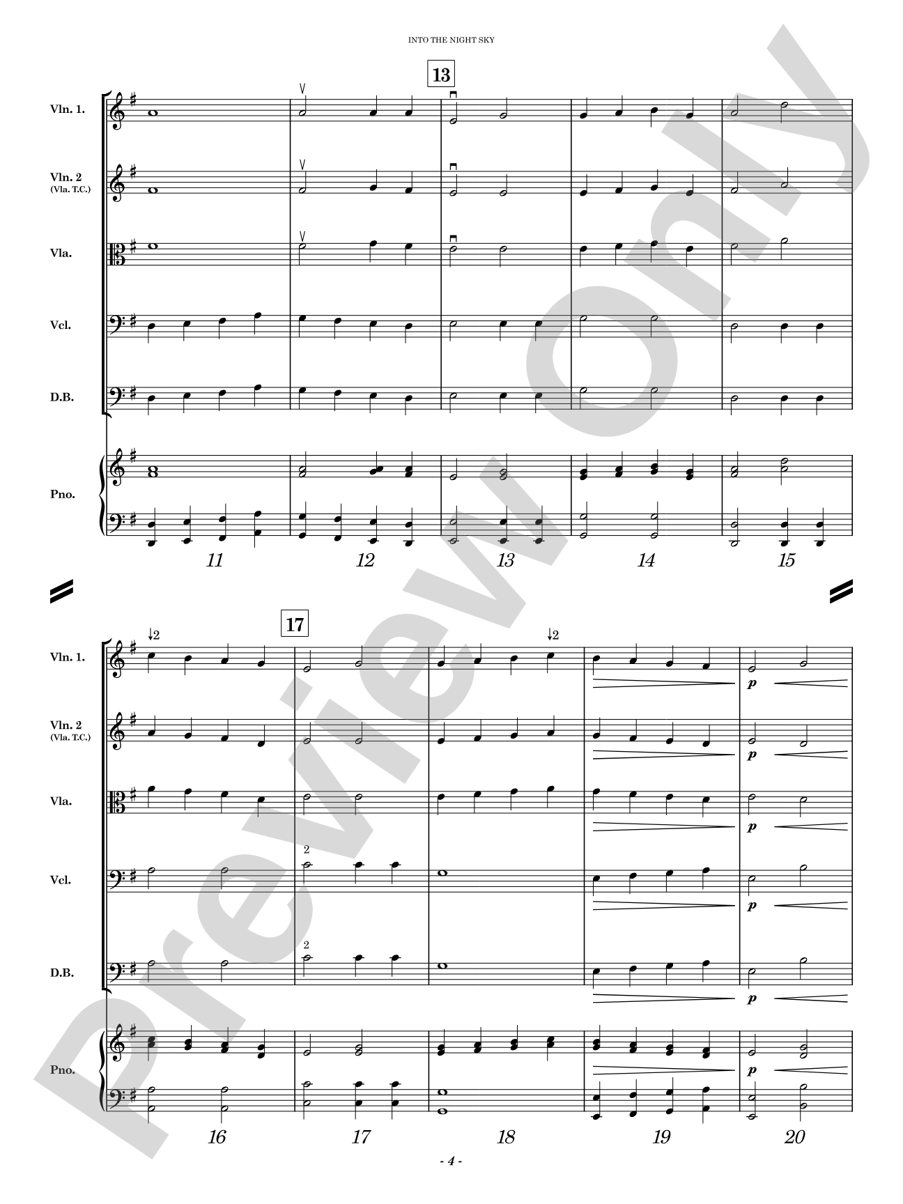 Into the Night Sky: String Orchestra Conductor Score & Parts